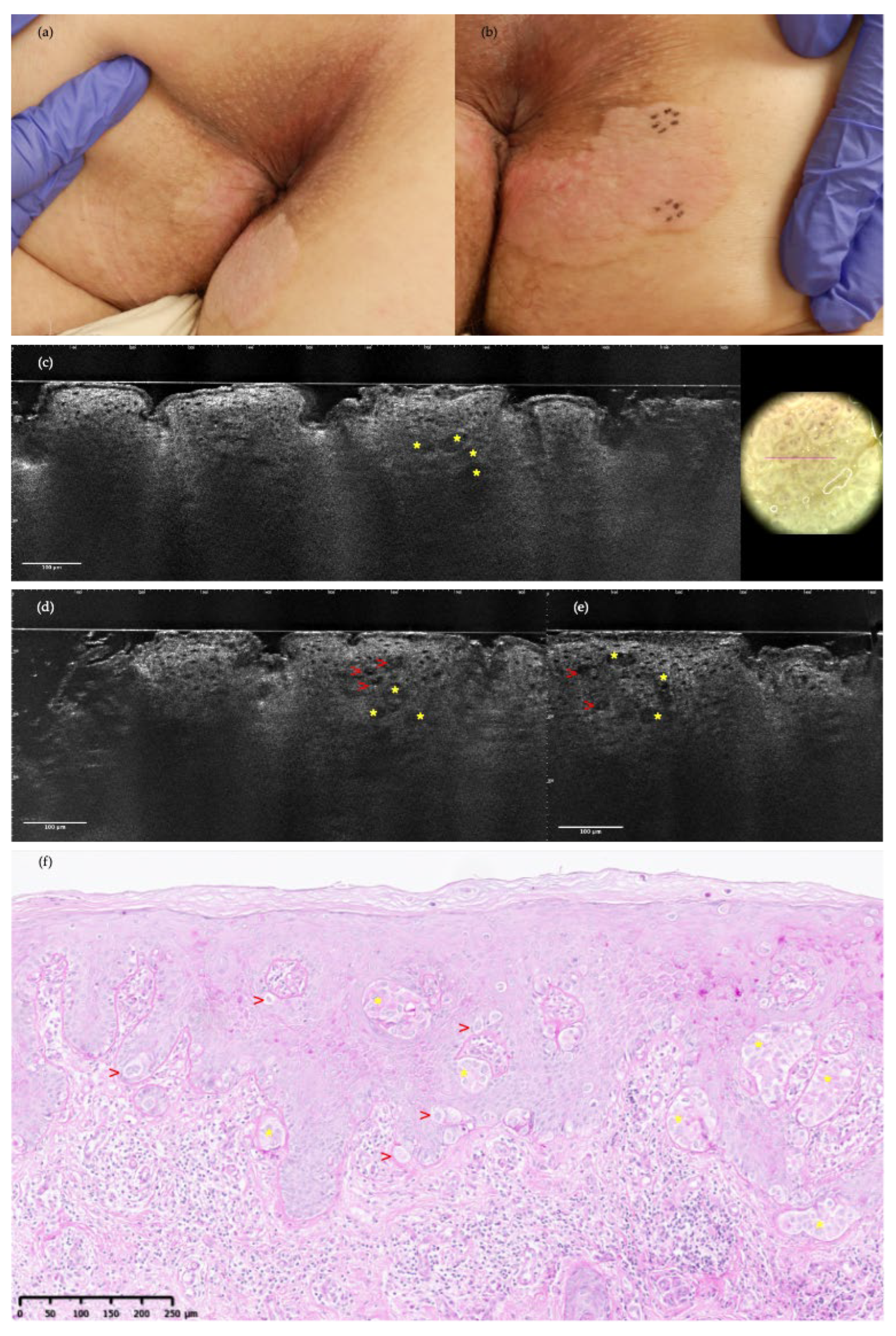 Preprints 111599 g001