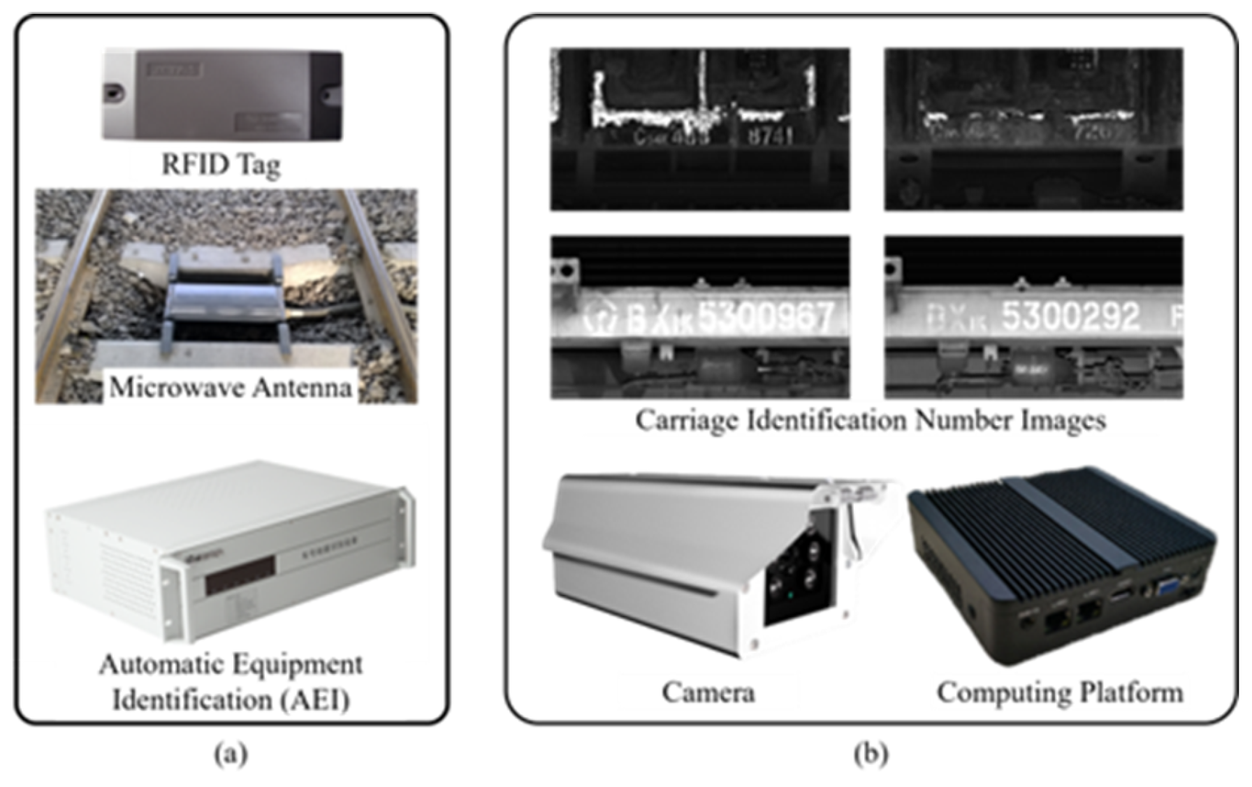 Preprints 118098 g002