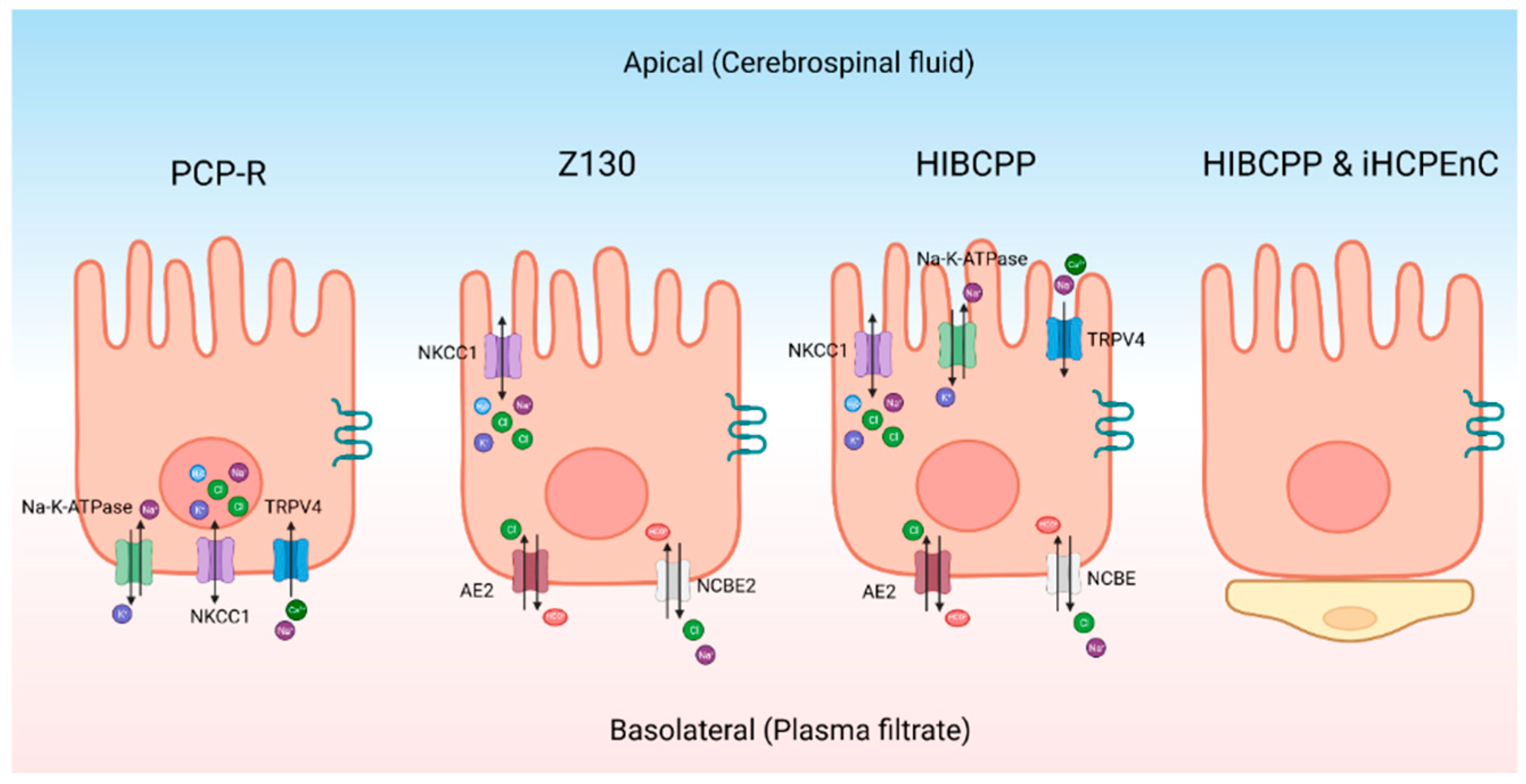 Preprints 97605 g002