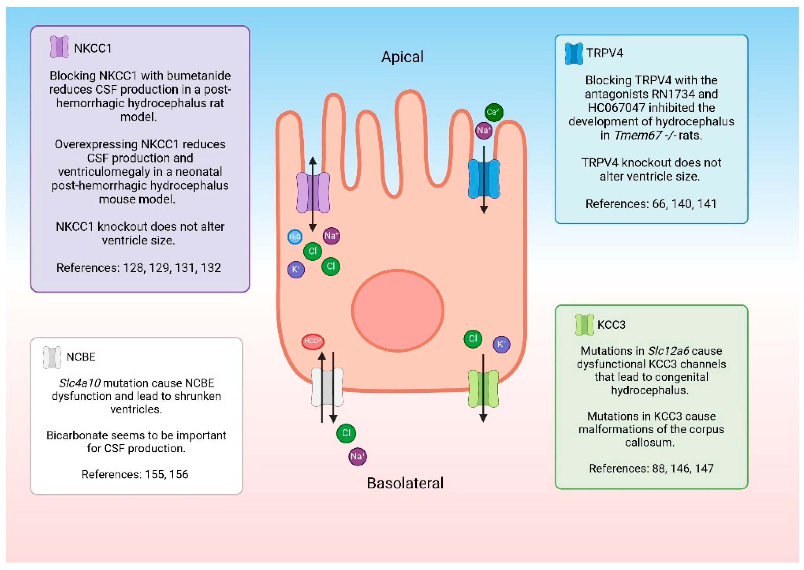 Preprints 97605 g003