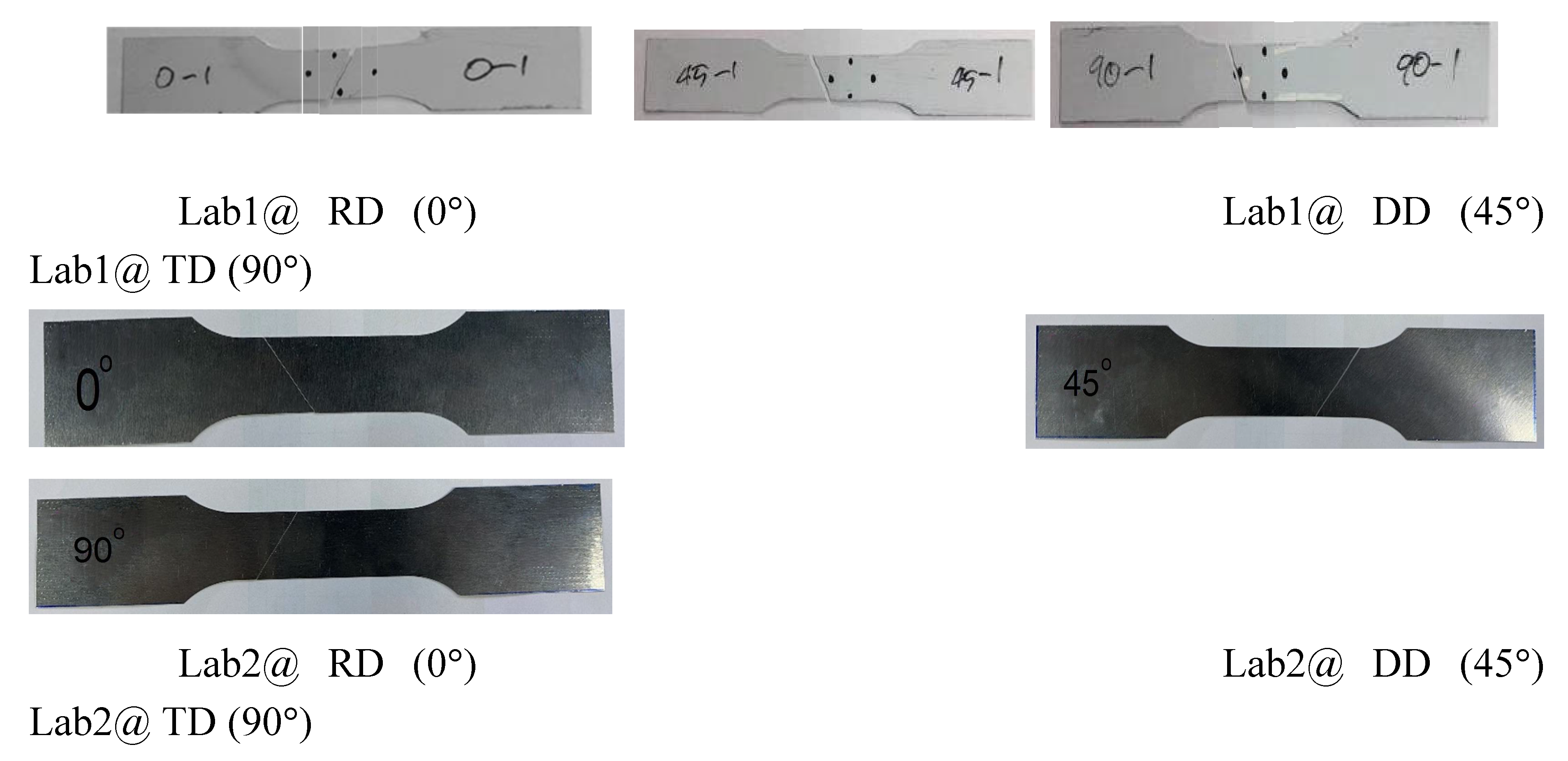 Preprints 113053 g012a