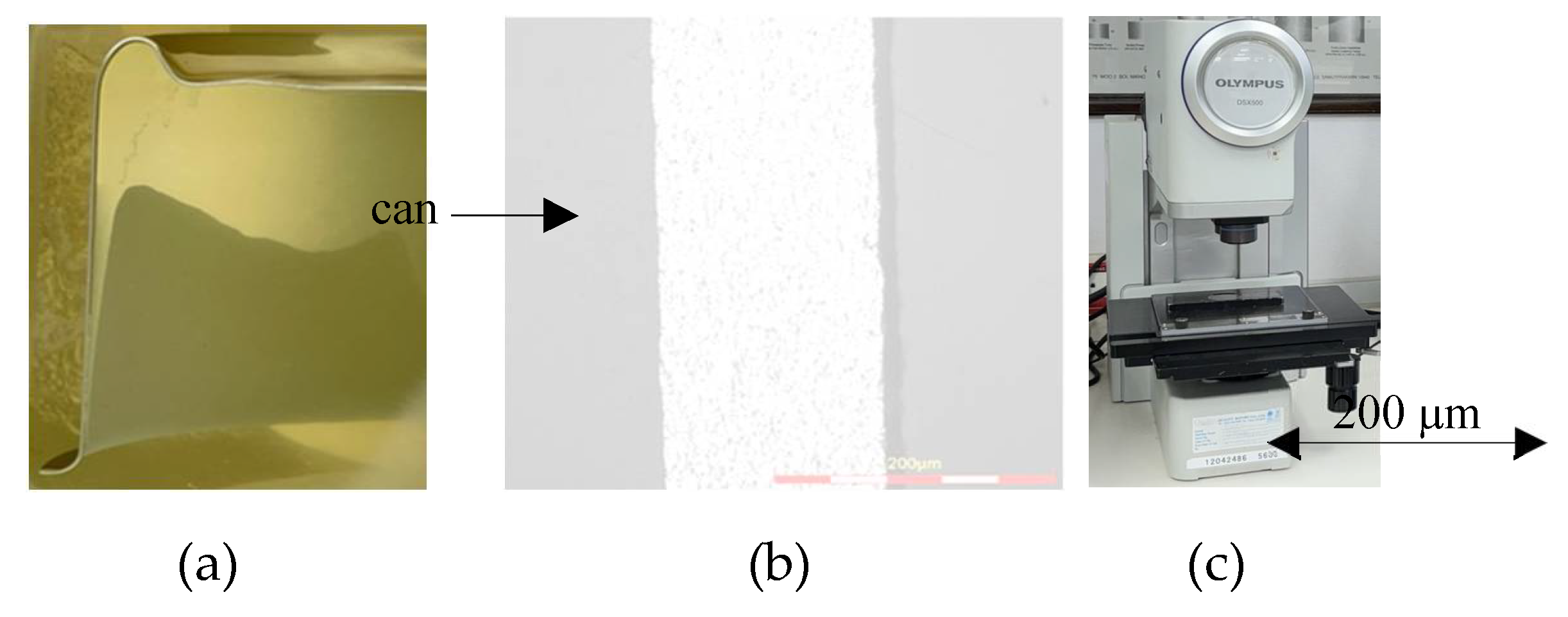 Preprints 113053 g014