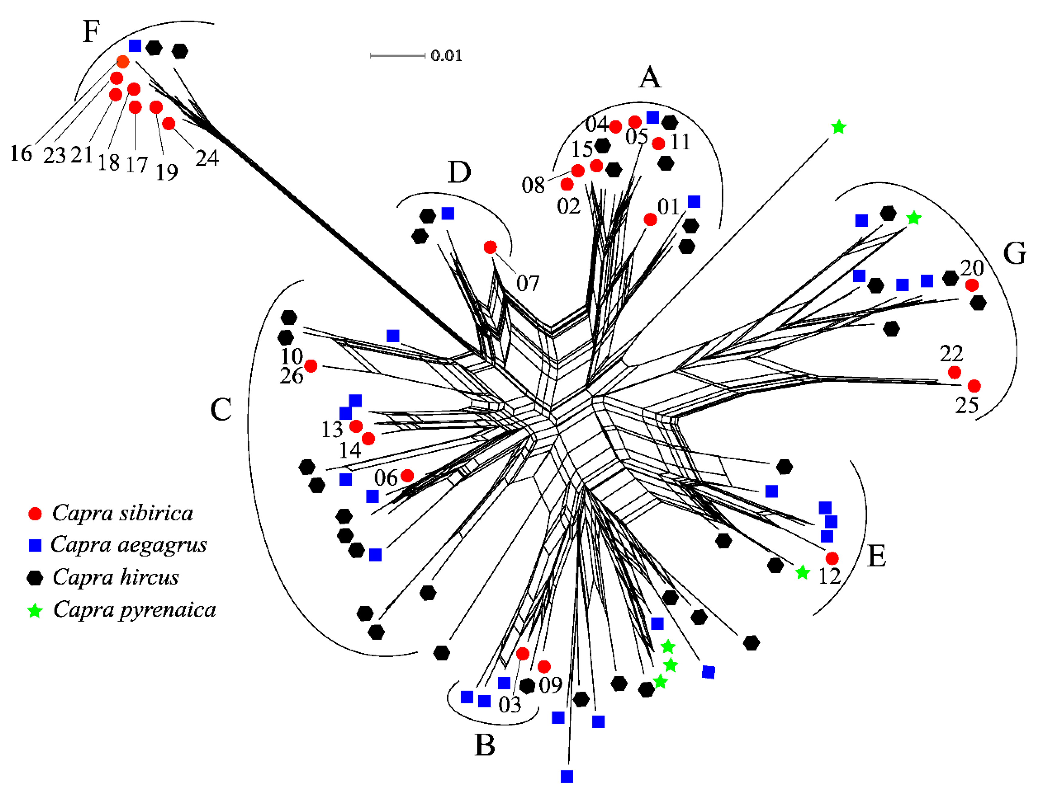 Preprints 79986 g003