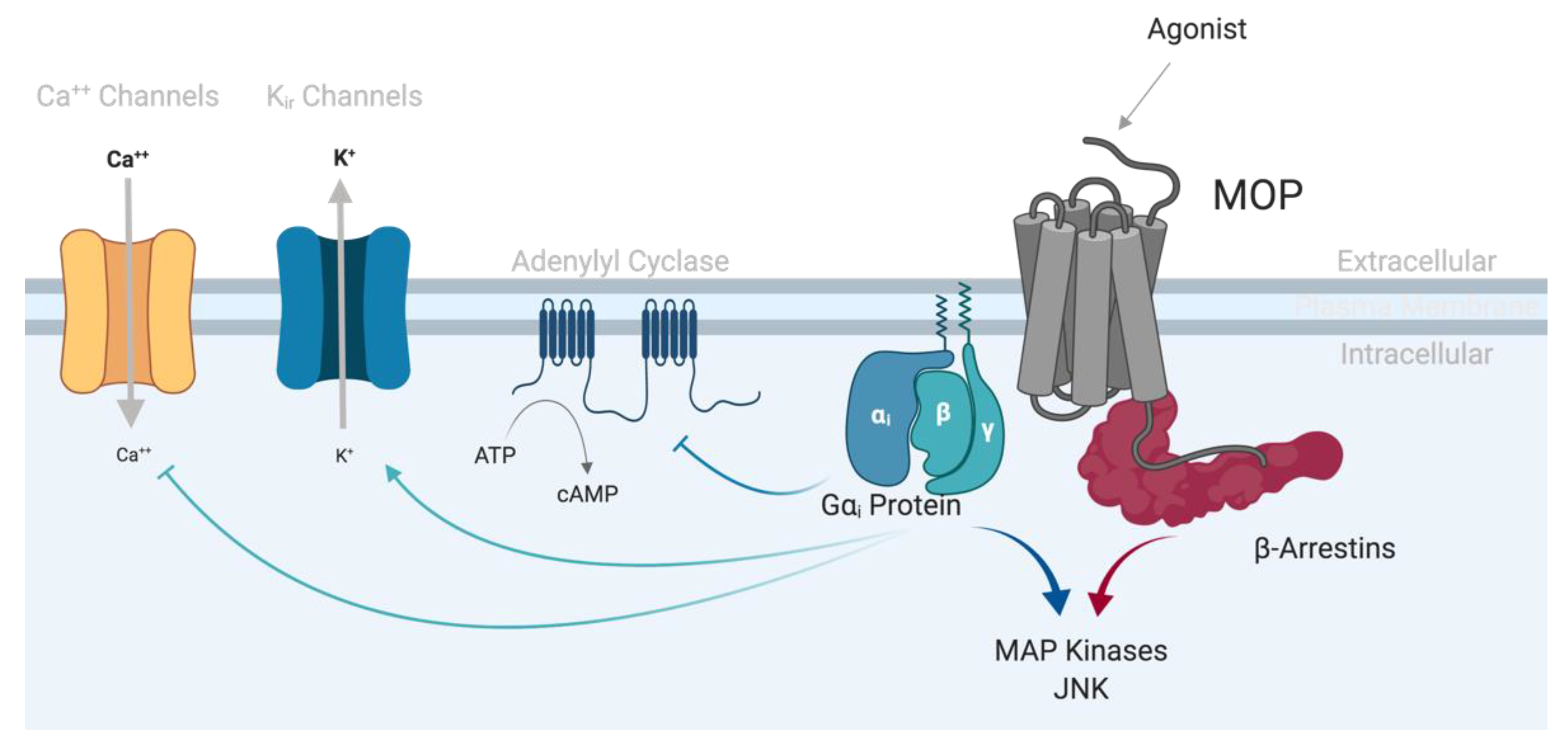 Preprints 137438 g001