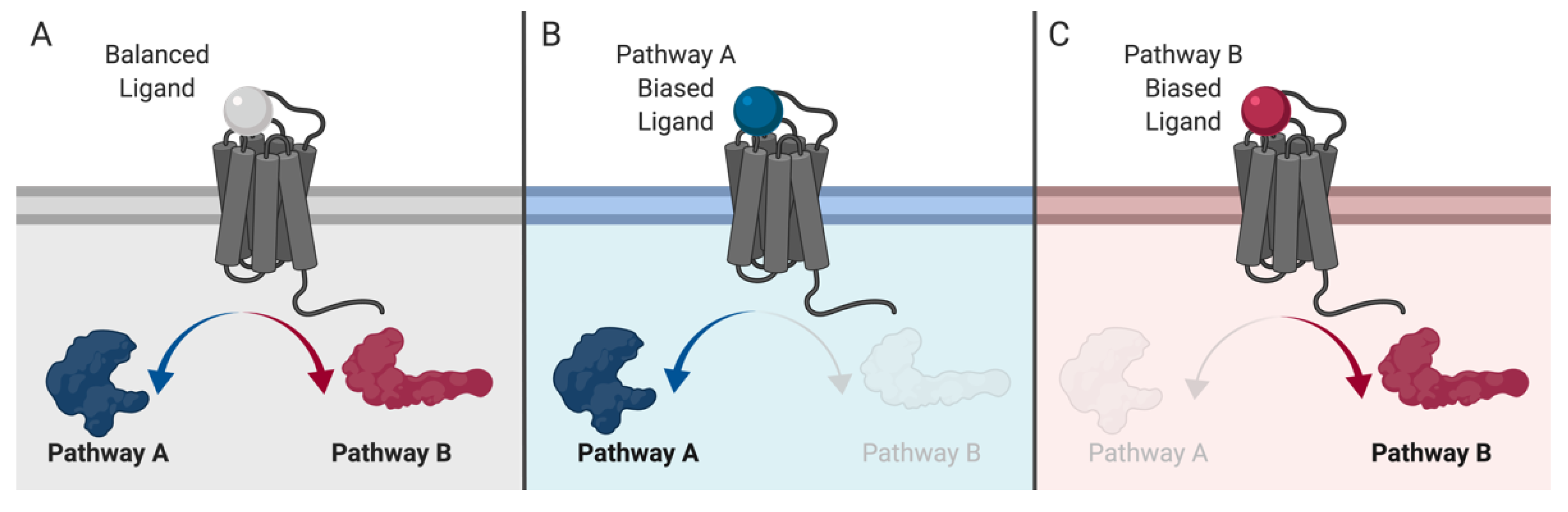 Preprints 137438 g002