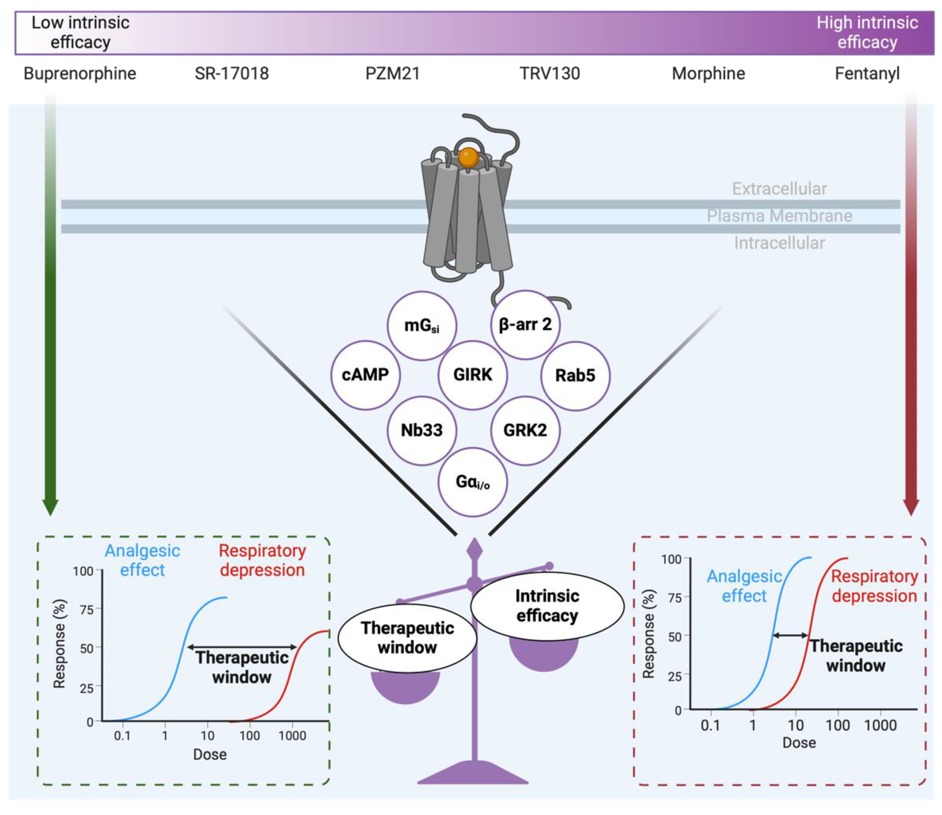 Preprints 137438 g004