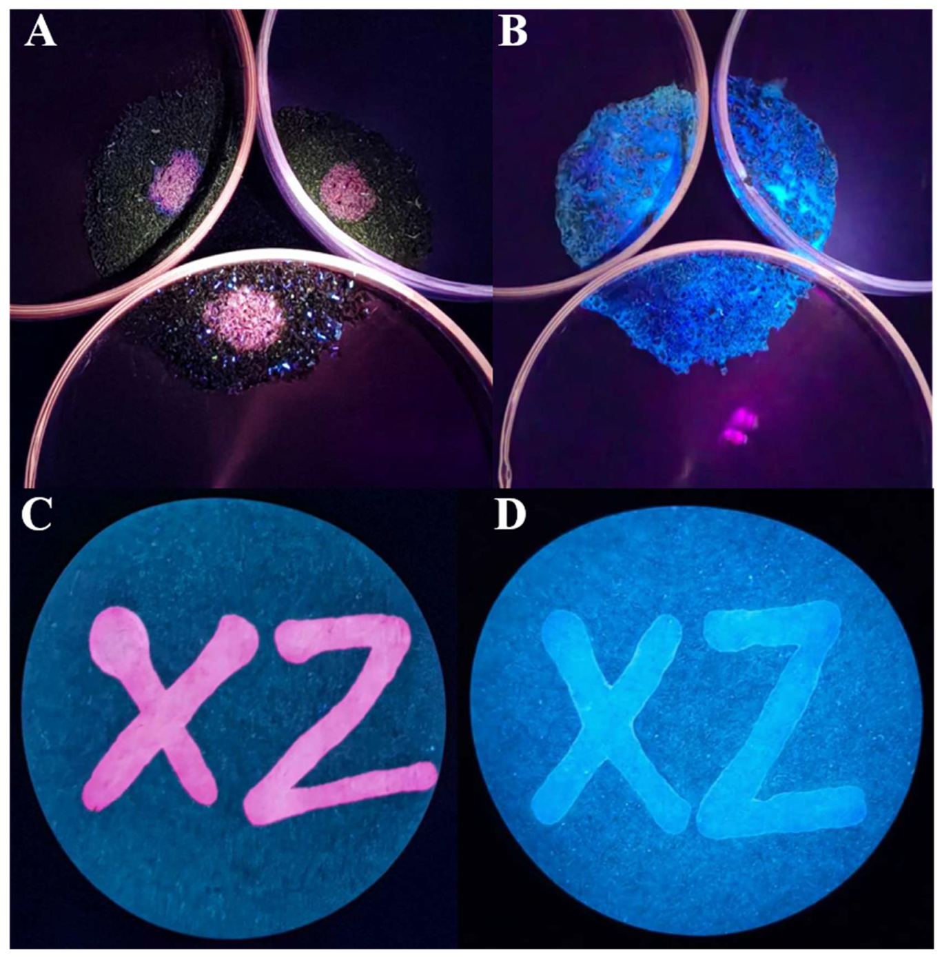 Preprints 121191 g007