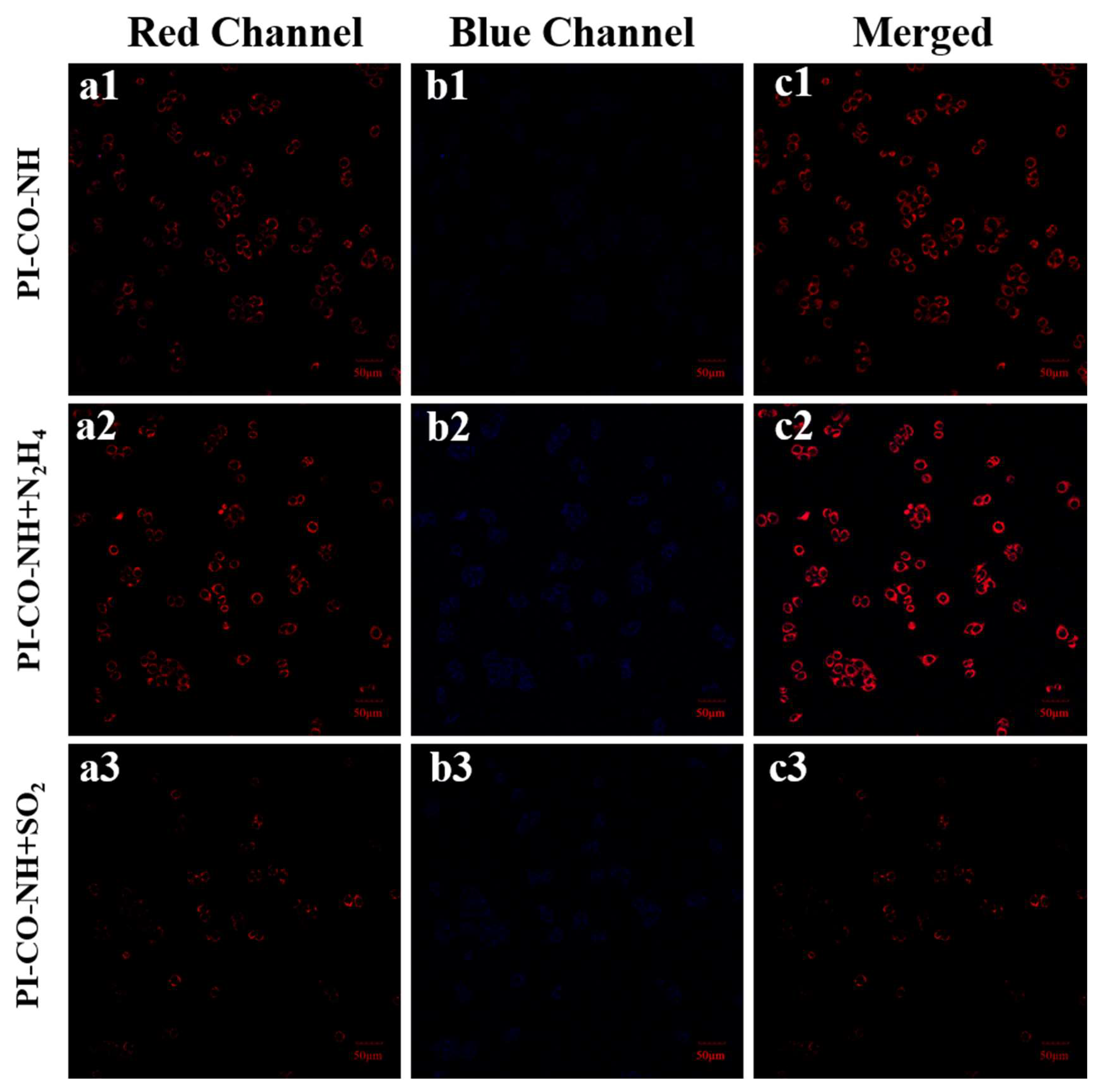 Preprints 121191 g008