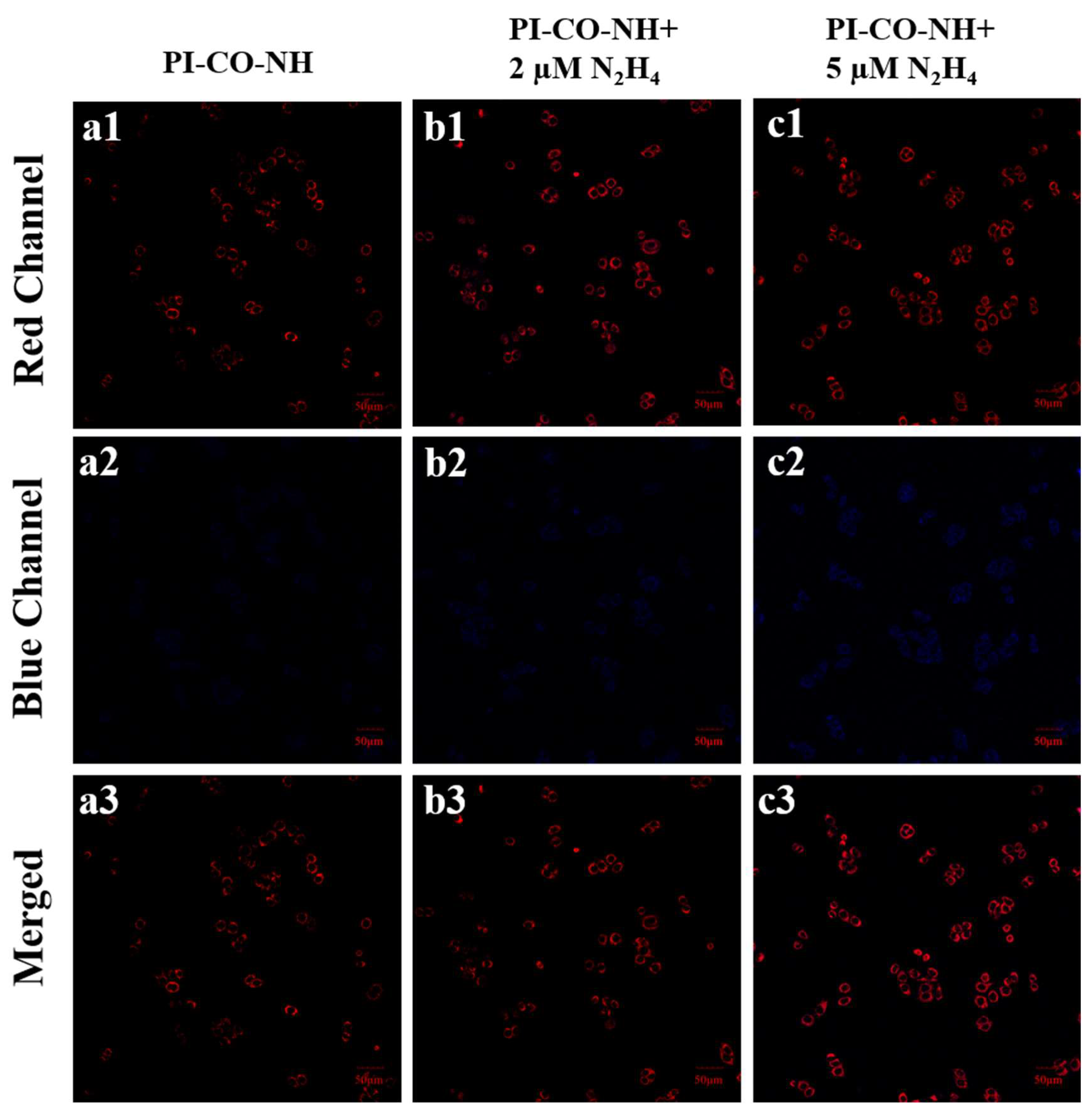 Preprints 121191 g009