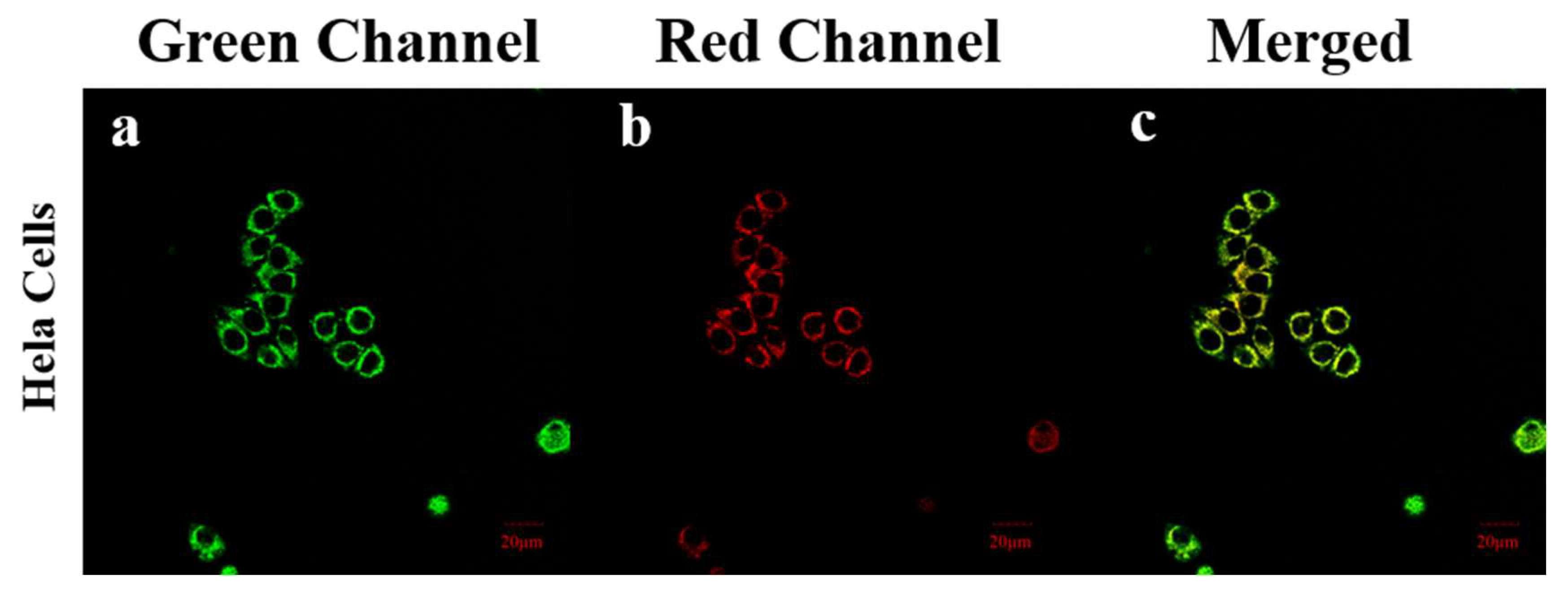 Preprints 121191 g010