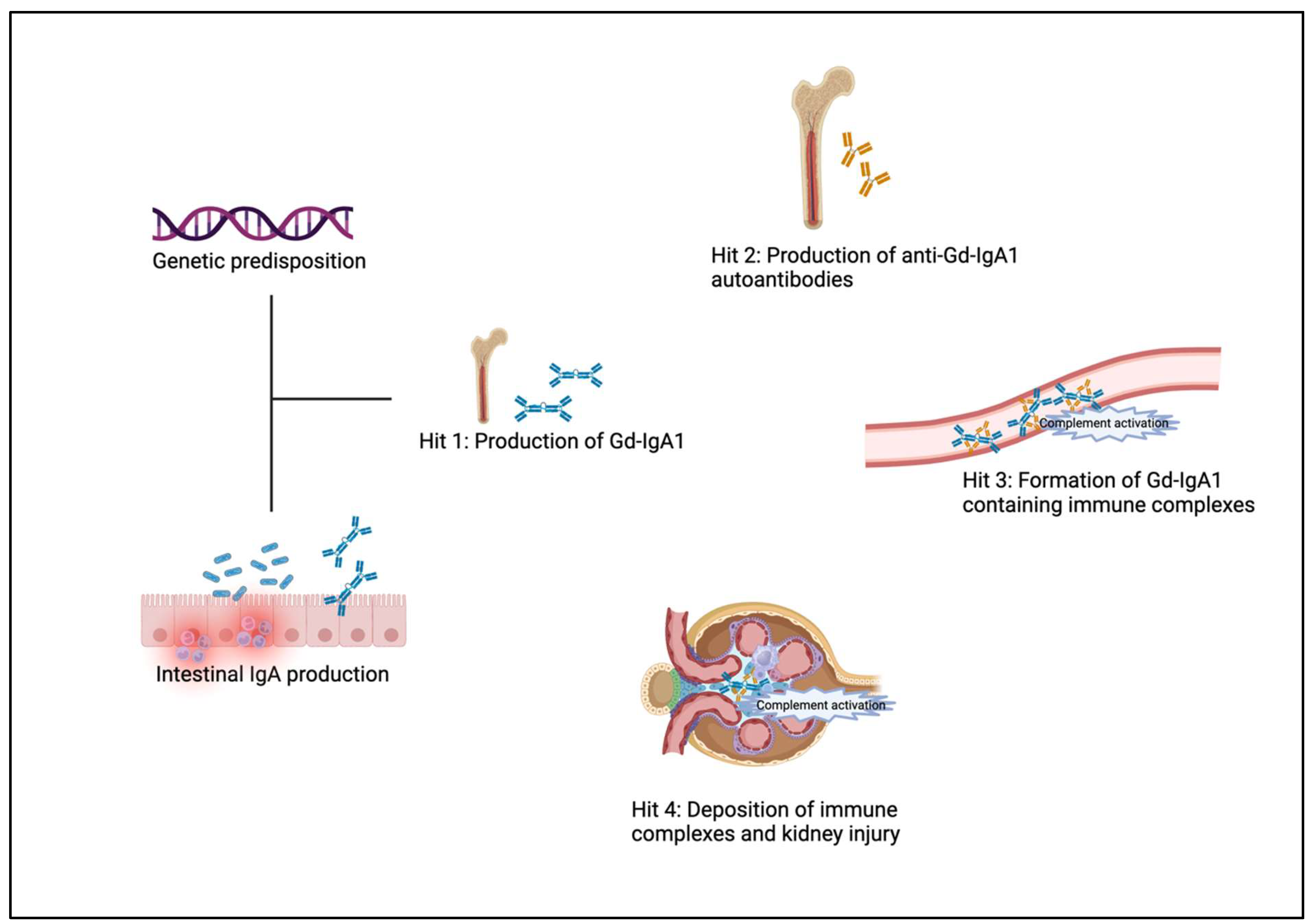 Preprints 117518 g001