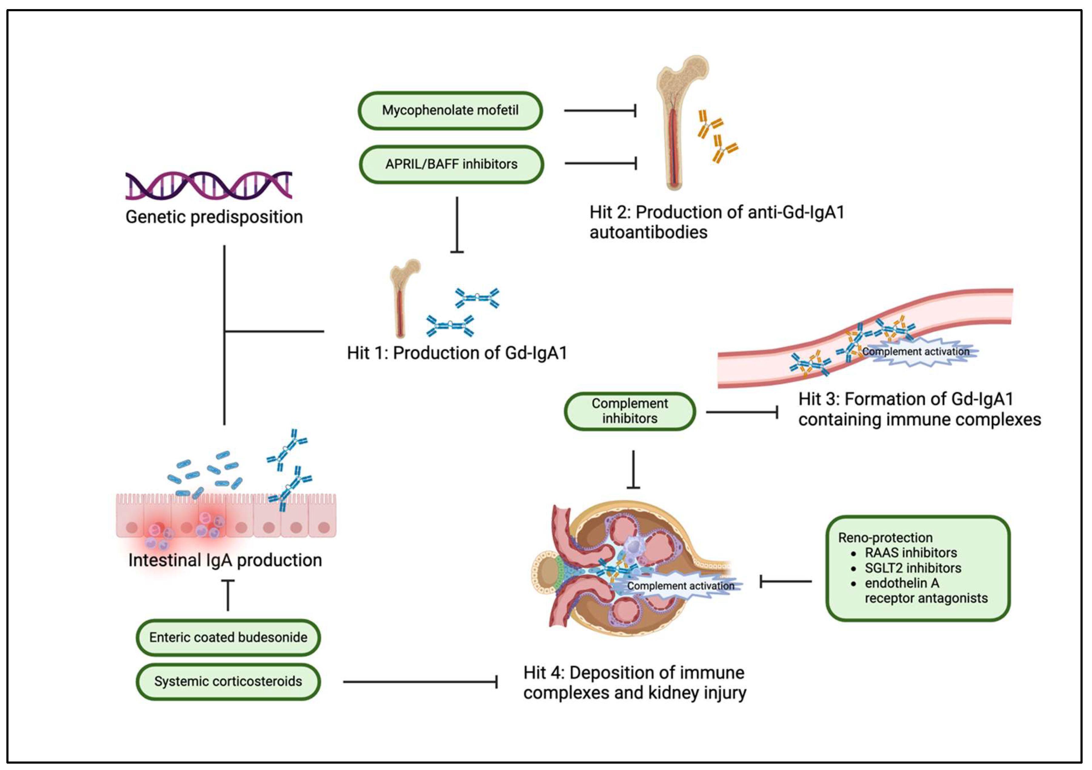 Preprints 117518 g002