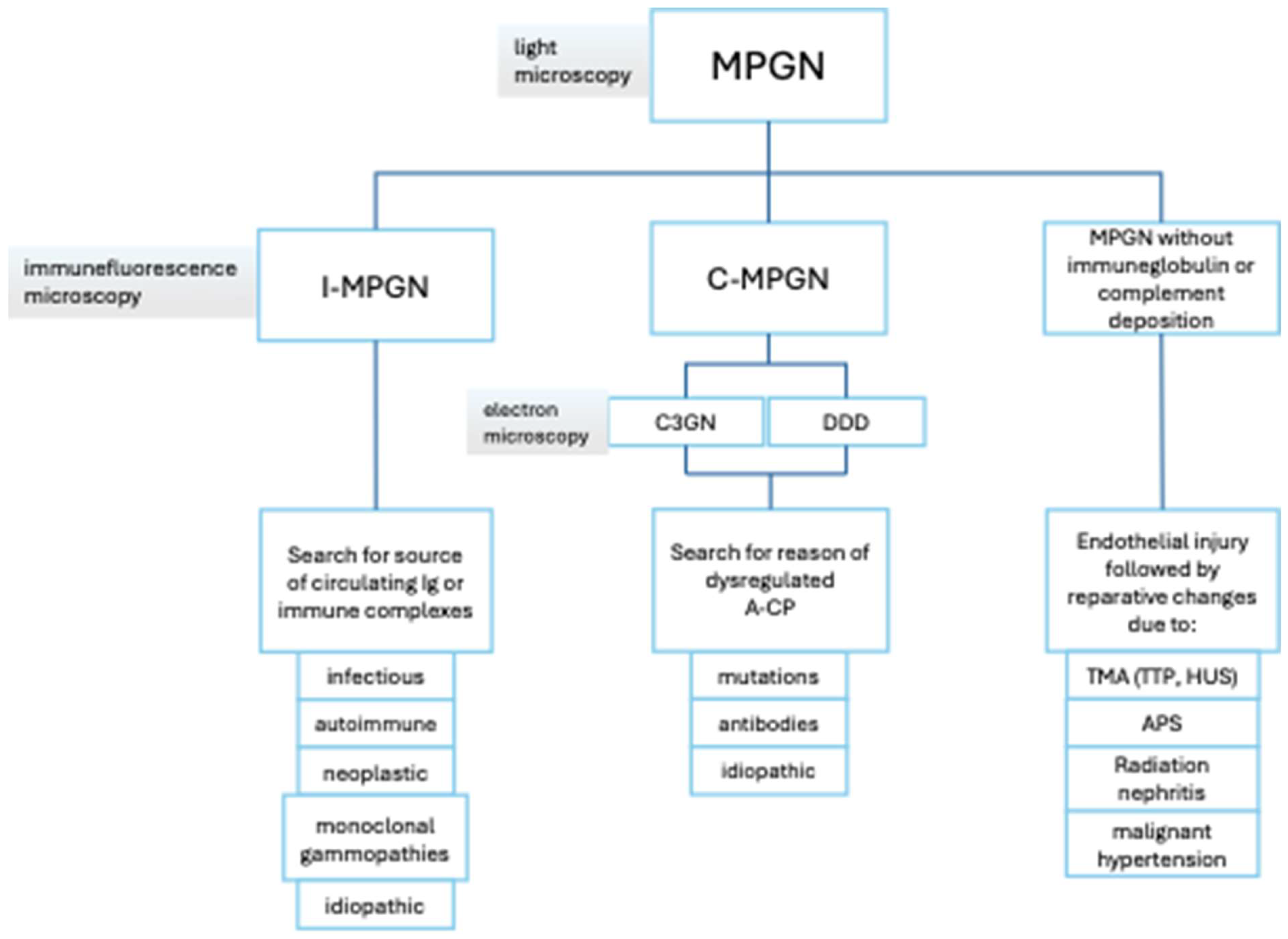 Preprints 117518 g003