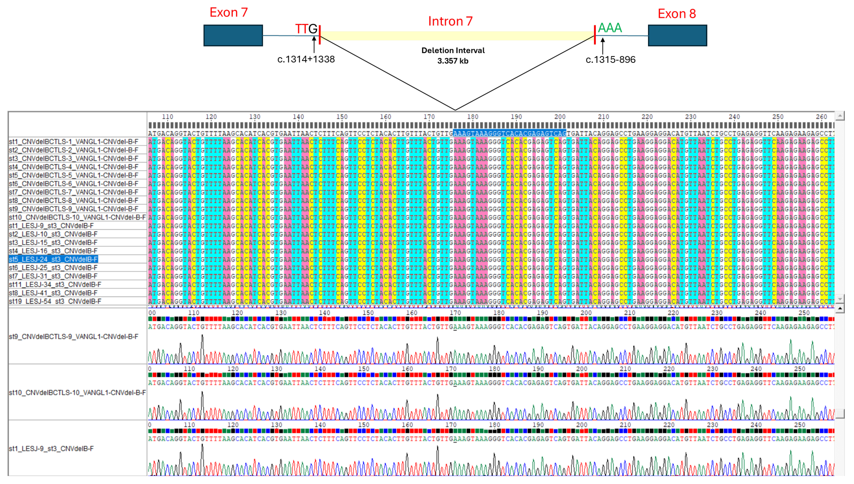 Preprints 108375 g001