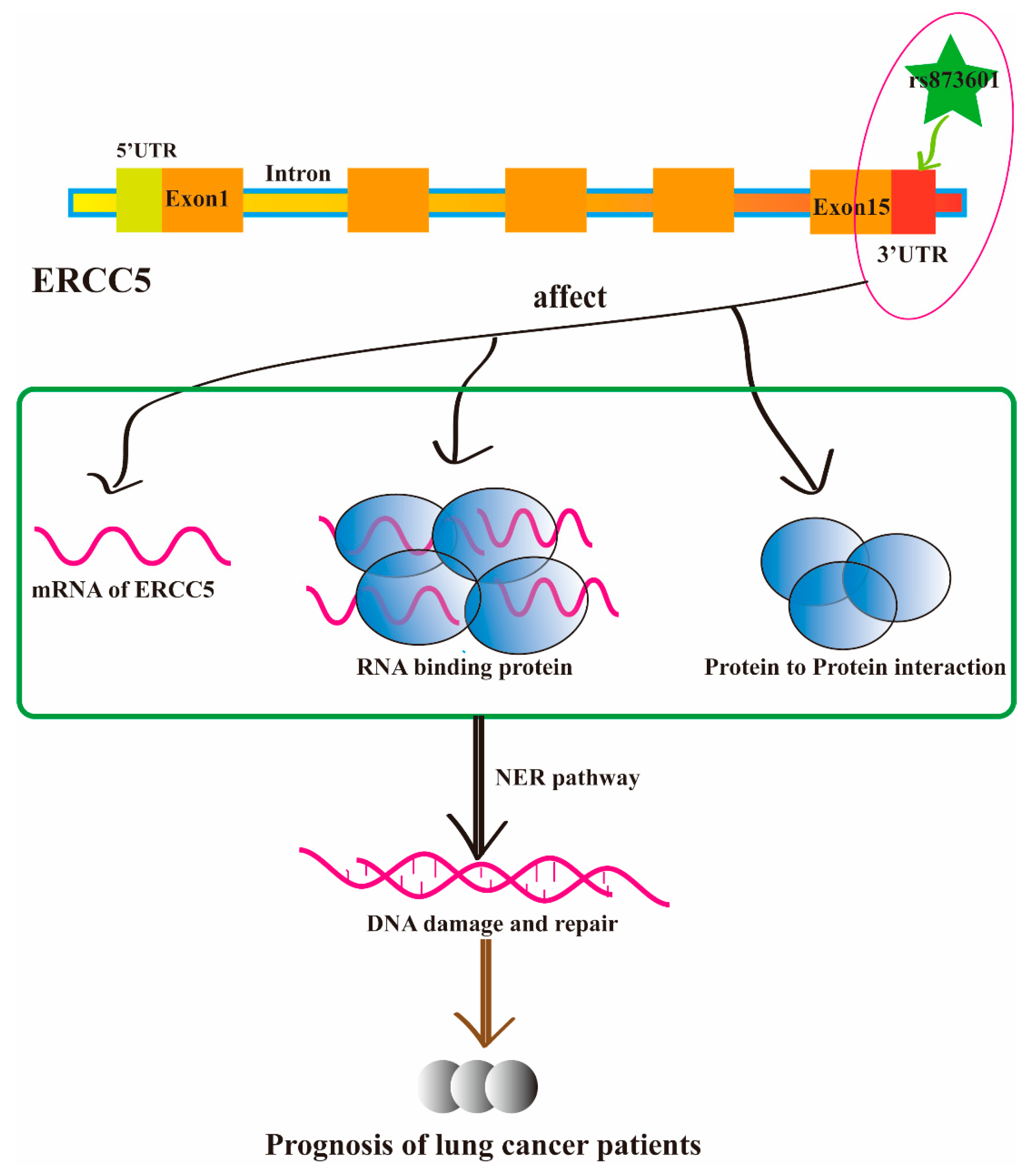 Preprints 87711 g004