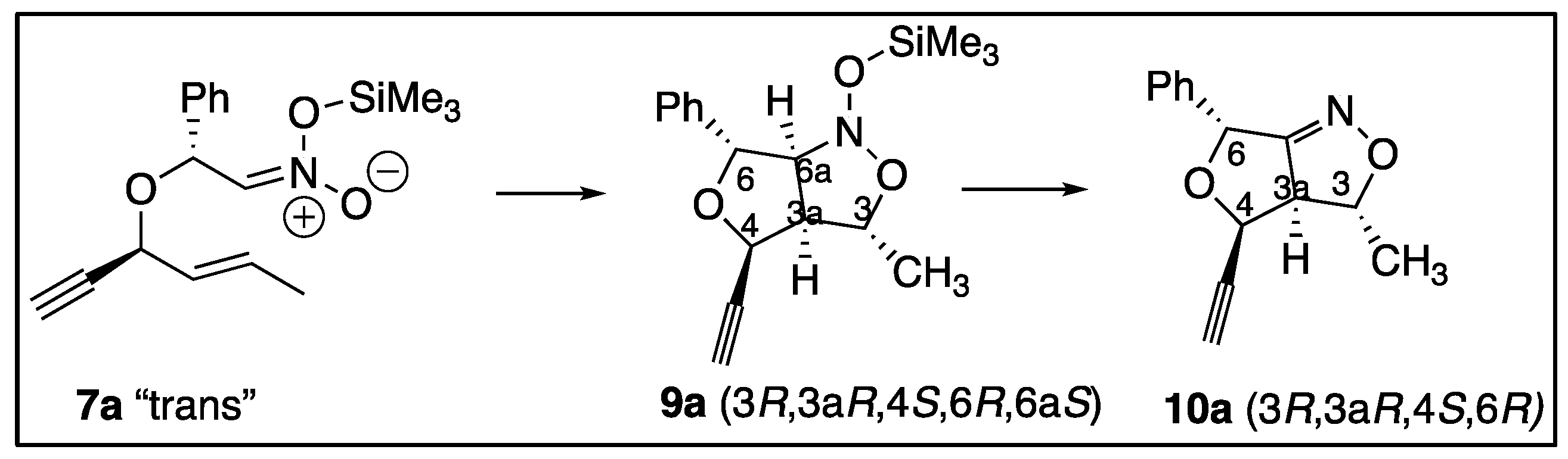 Preprints 121943 g003