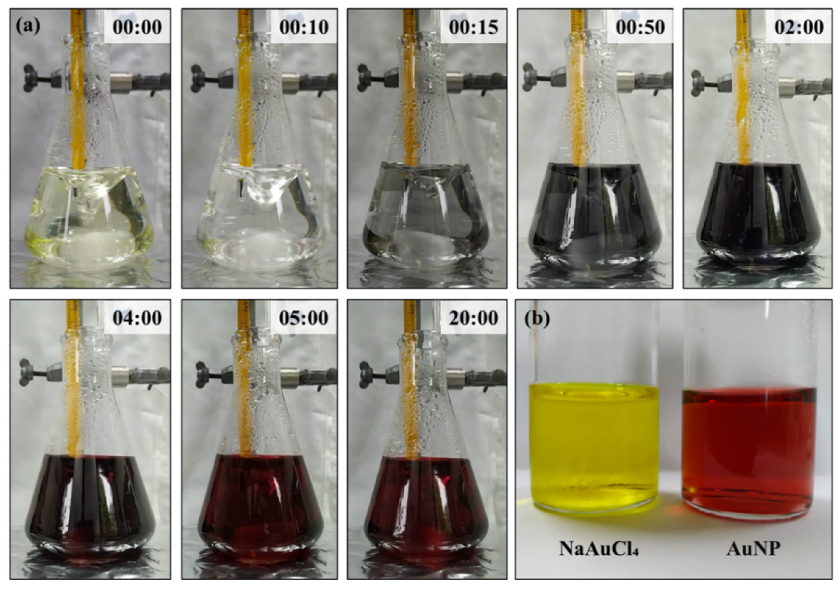 Preprints 74160 g002