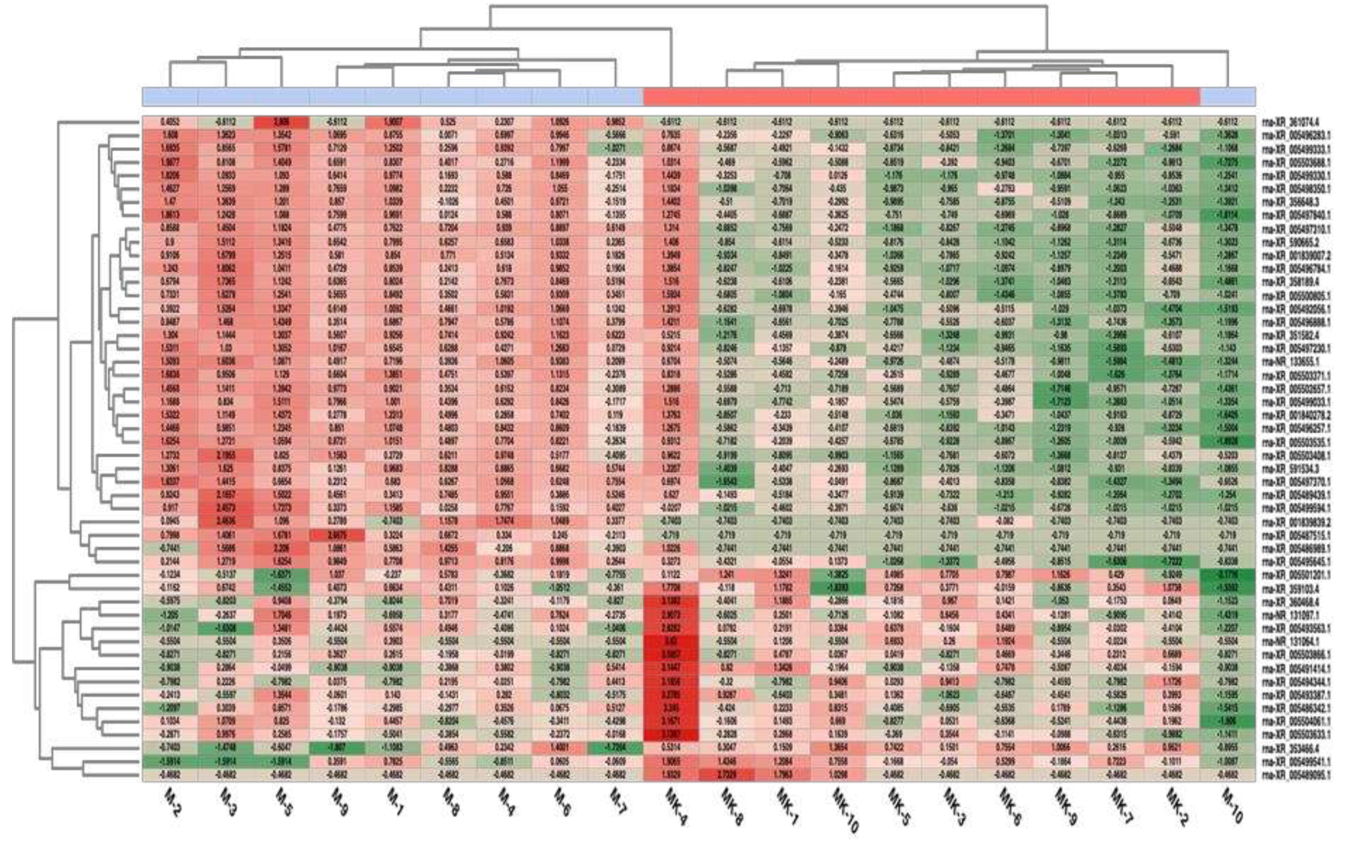 Preprints 78681 g006