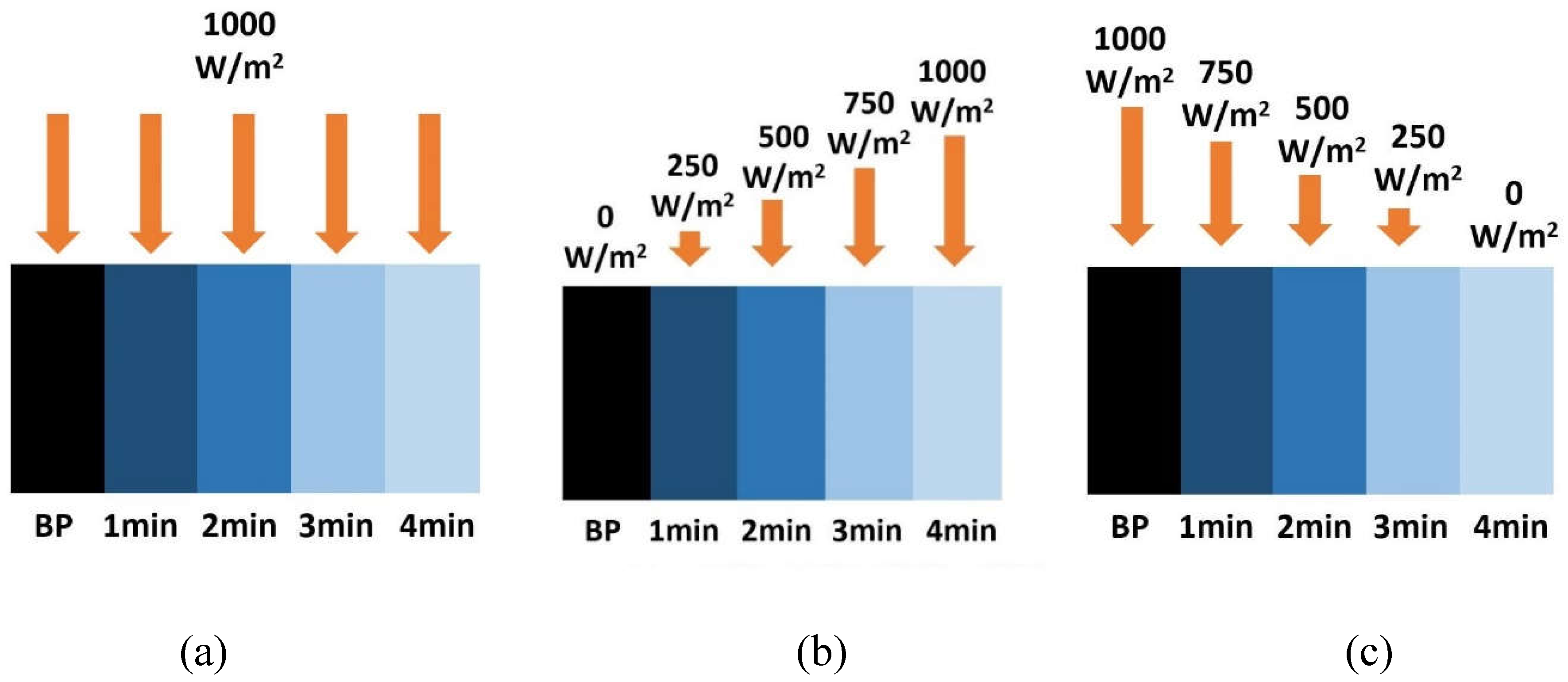 Preprints 109107 g002