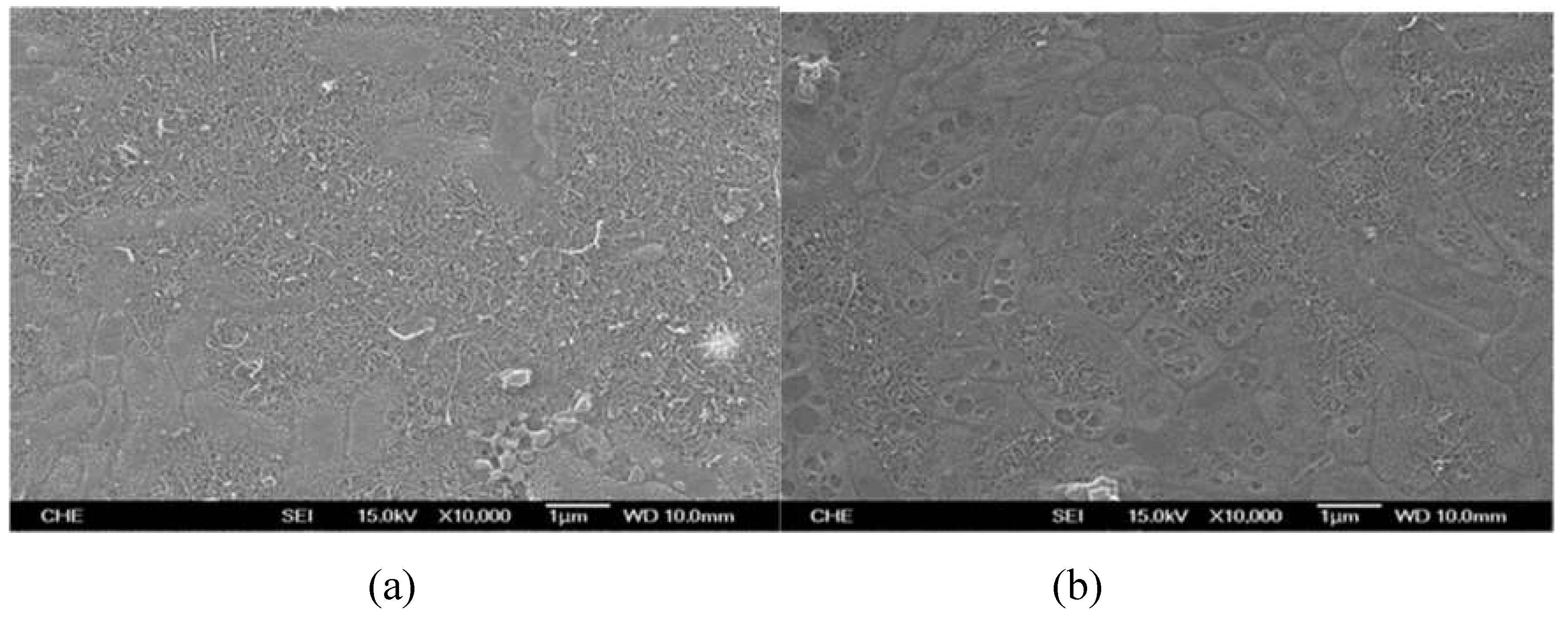 Preprints 109107 g008