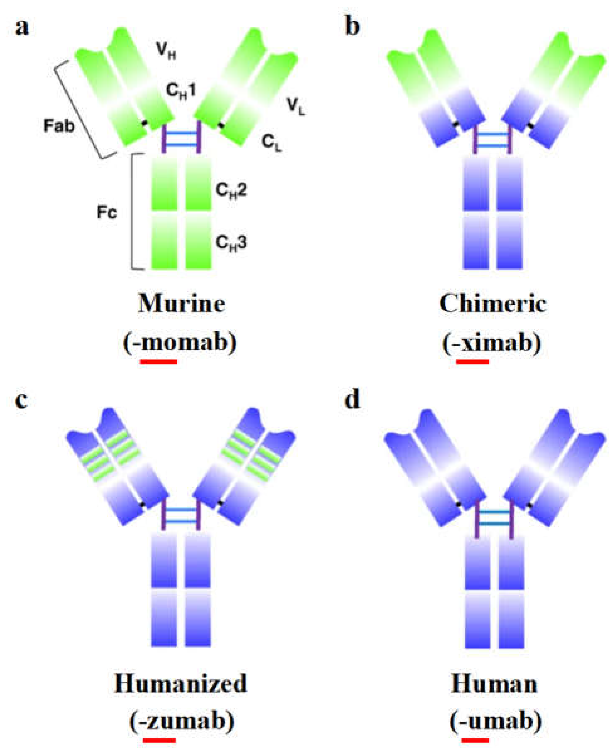 Preprints 107640 g001