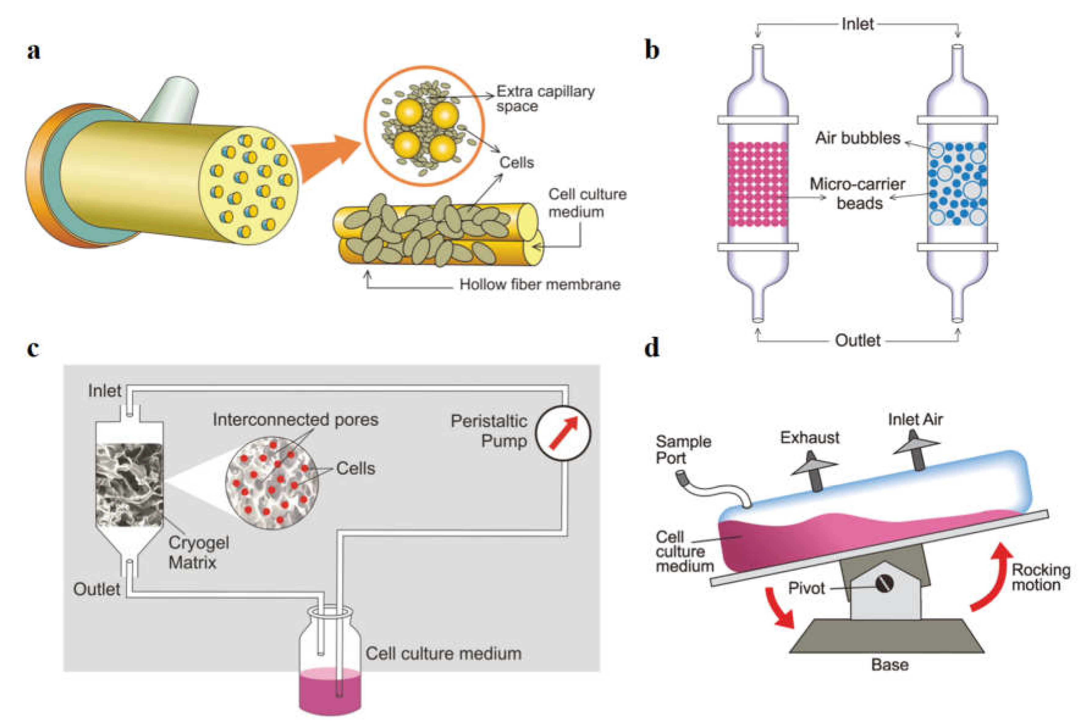 Preprints 107640 g002