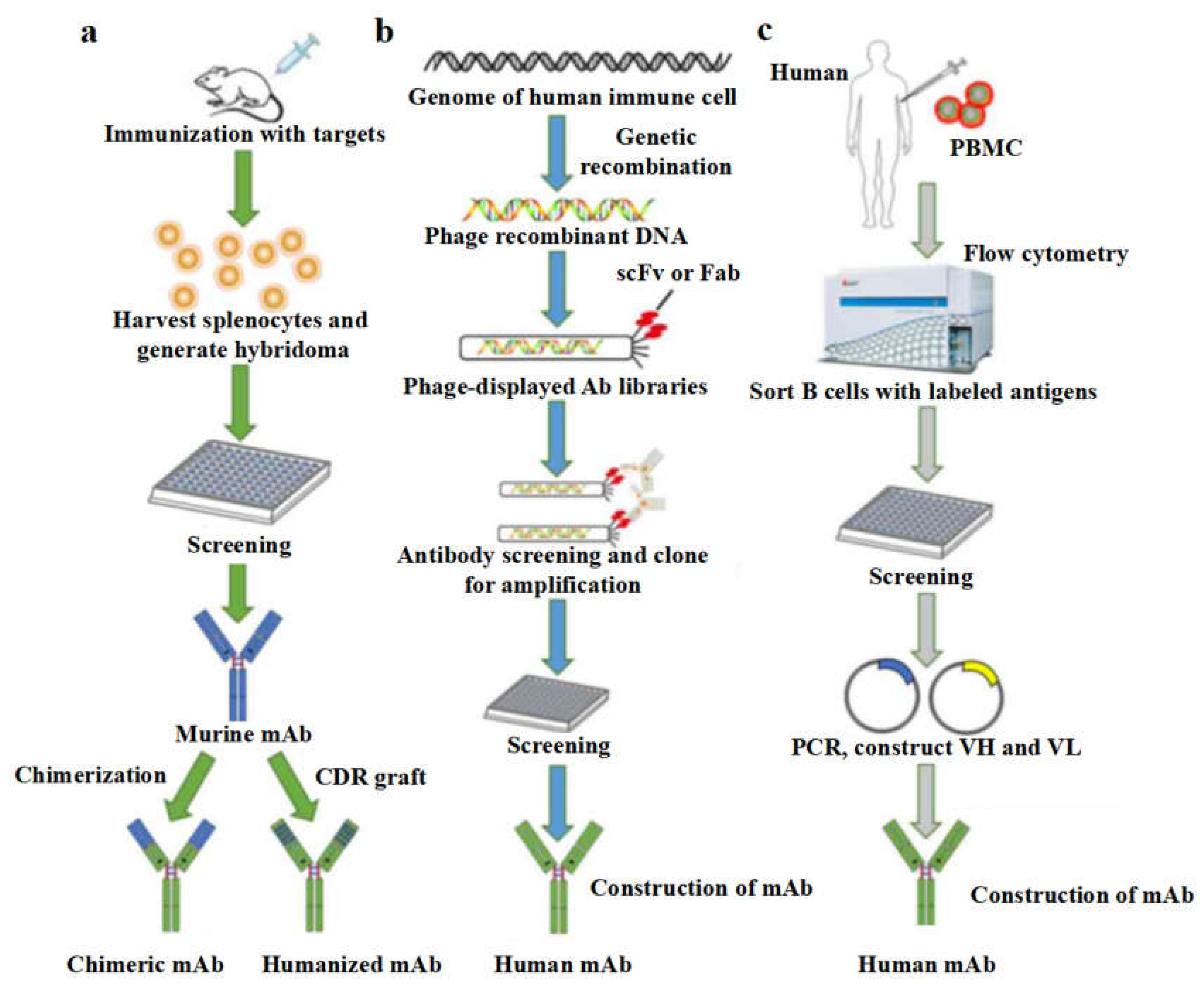 Preprints 107640 g003