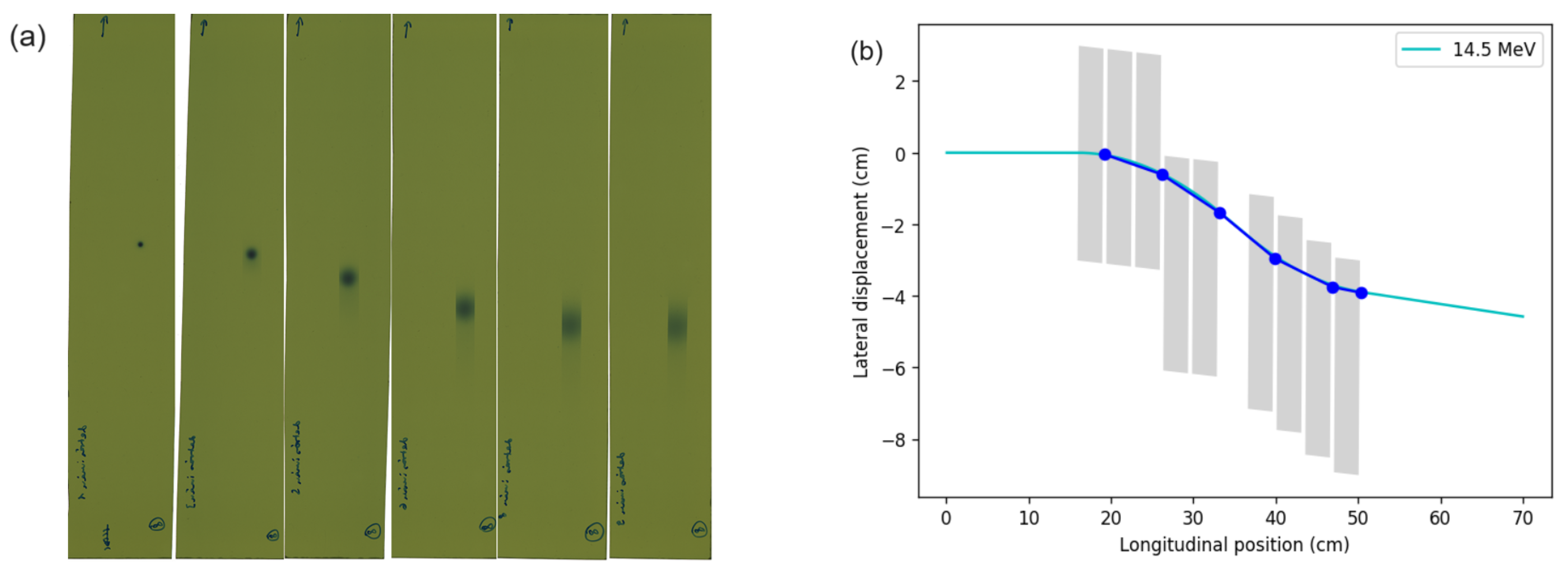 Preprints 105478 g004