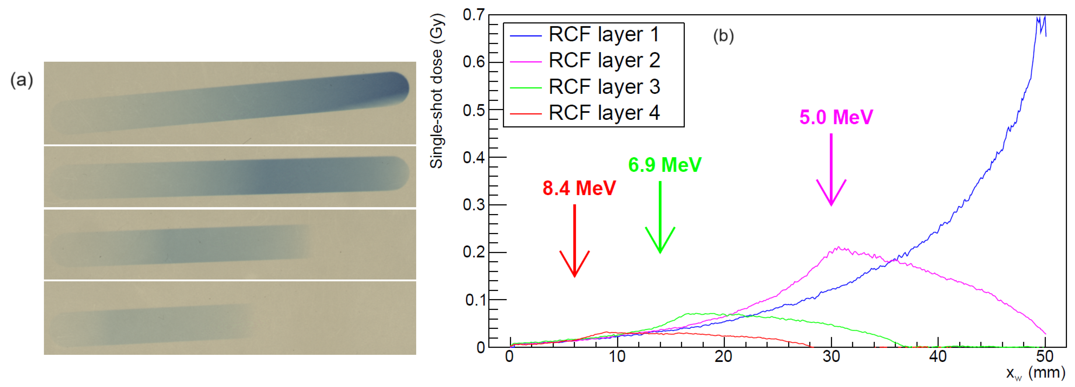 Preprints 105478 g009