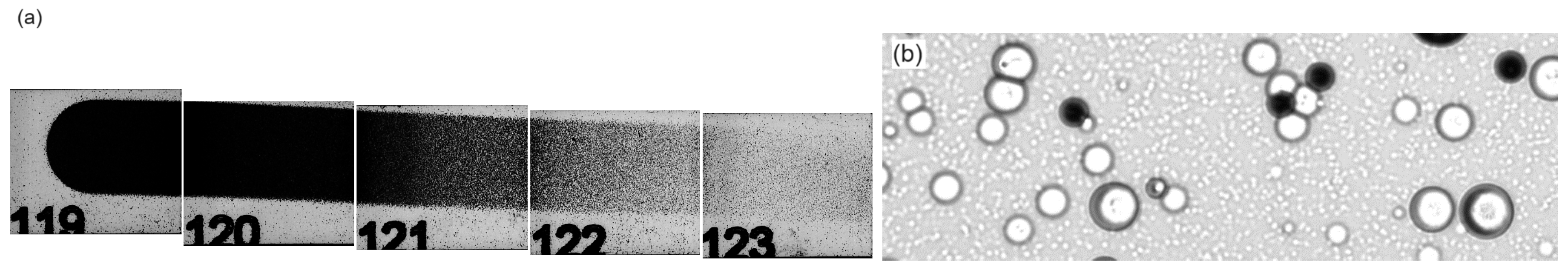 Preprints 105478 g011