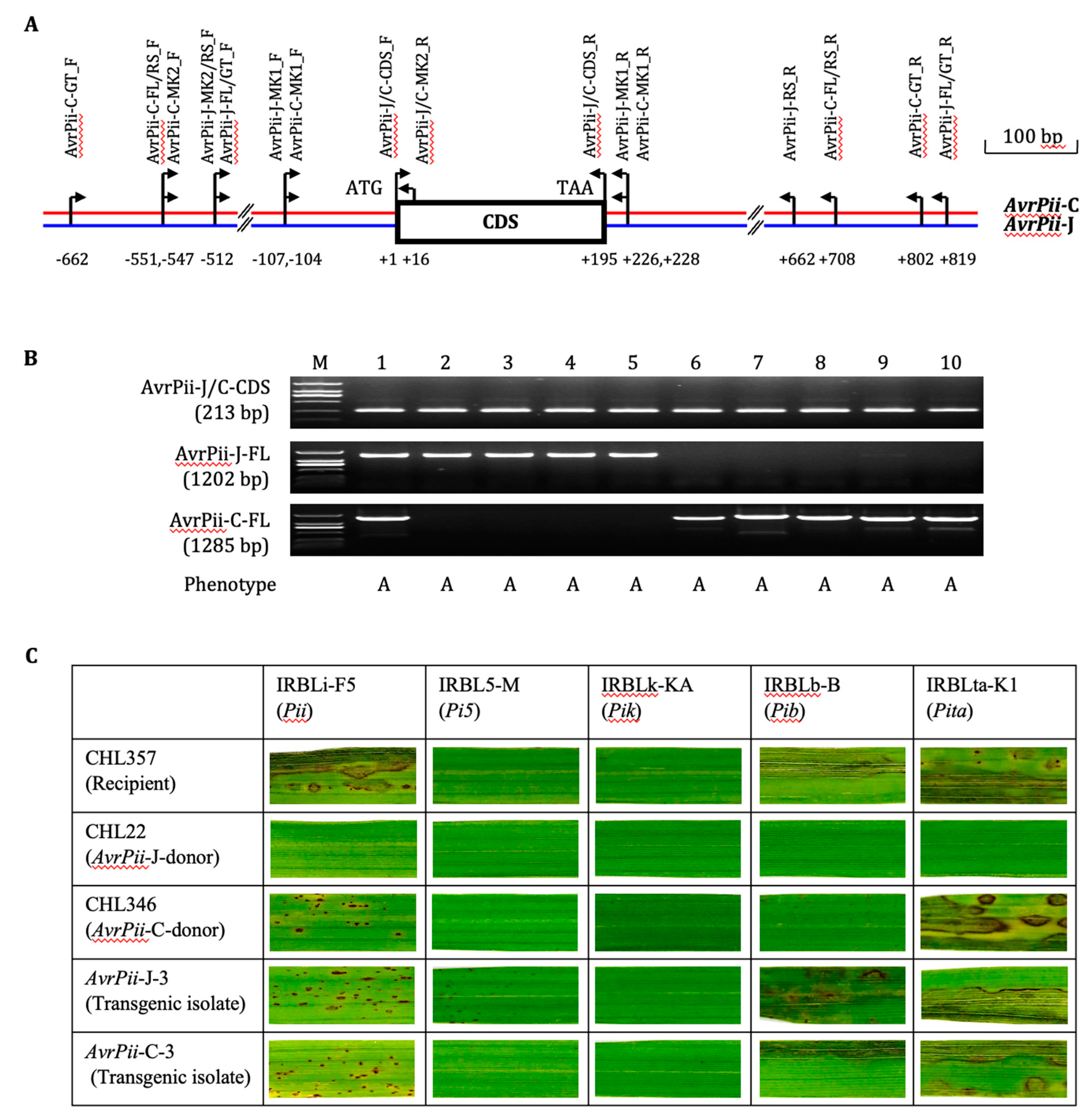 Preprints 71194 g001