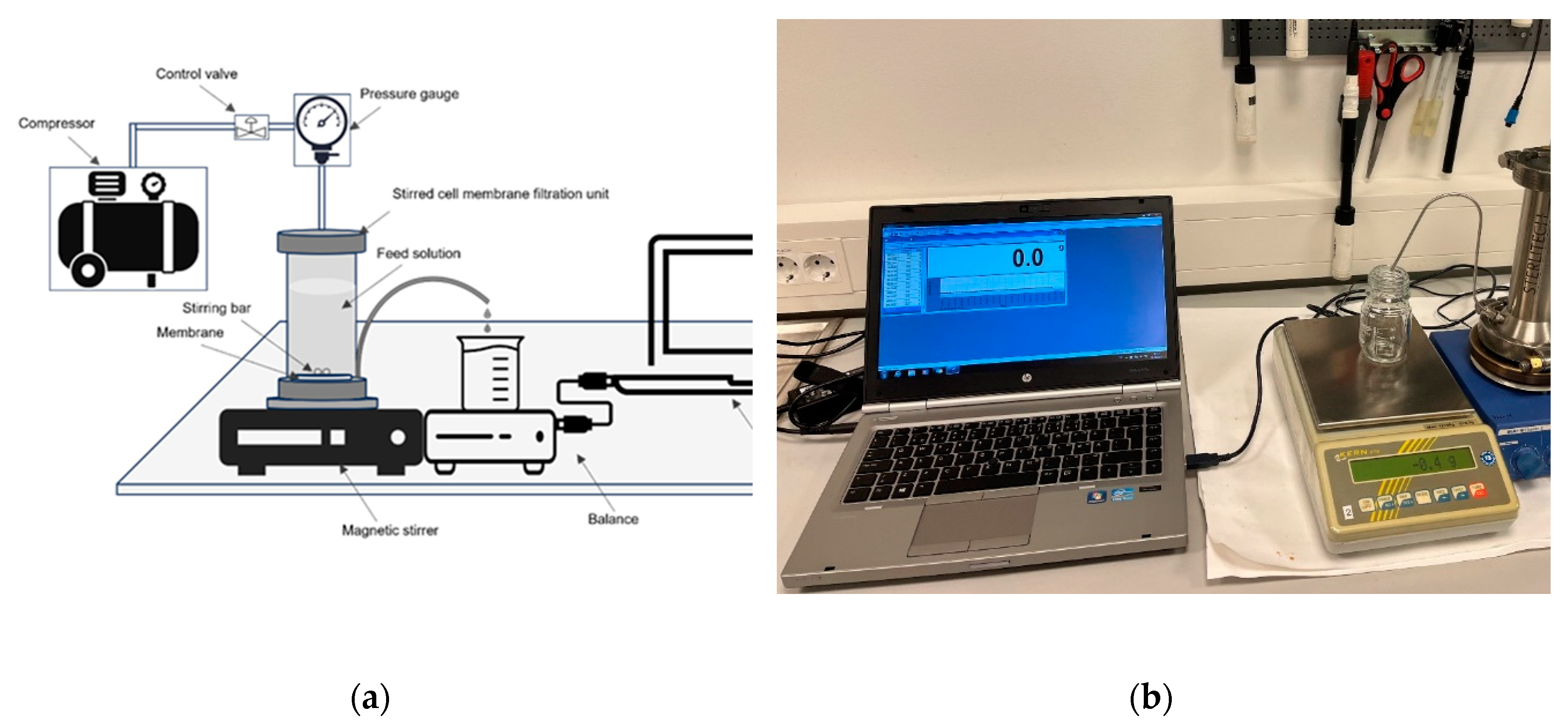 Preprints 92207 g001