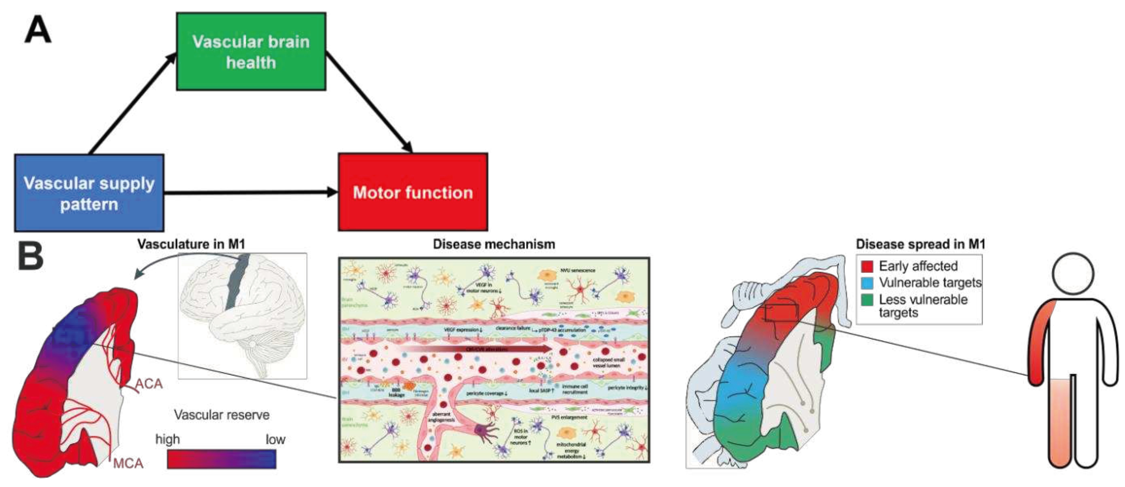 Preprints 68539 g002