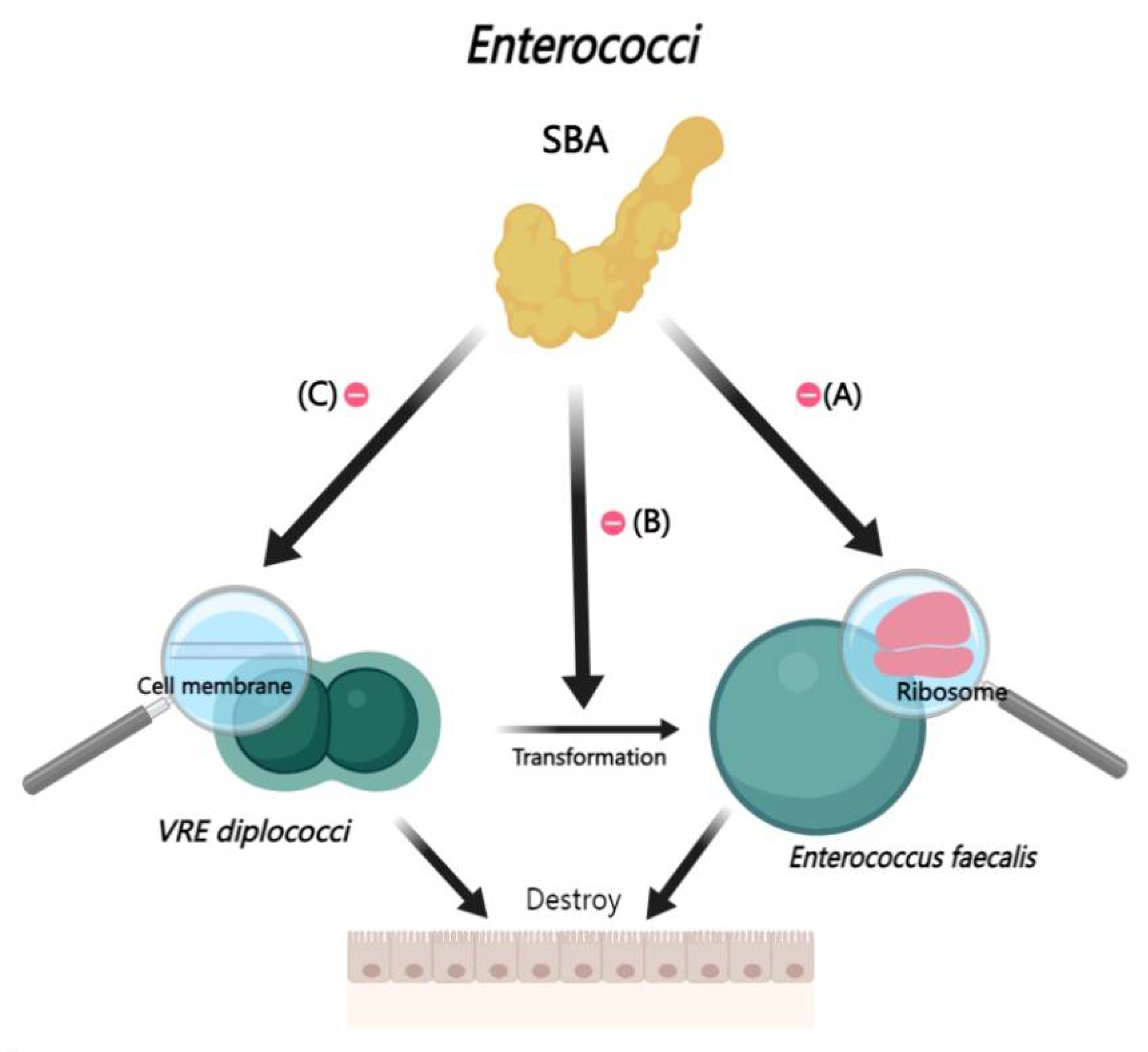 Preprints 110433 g005