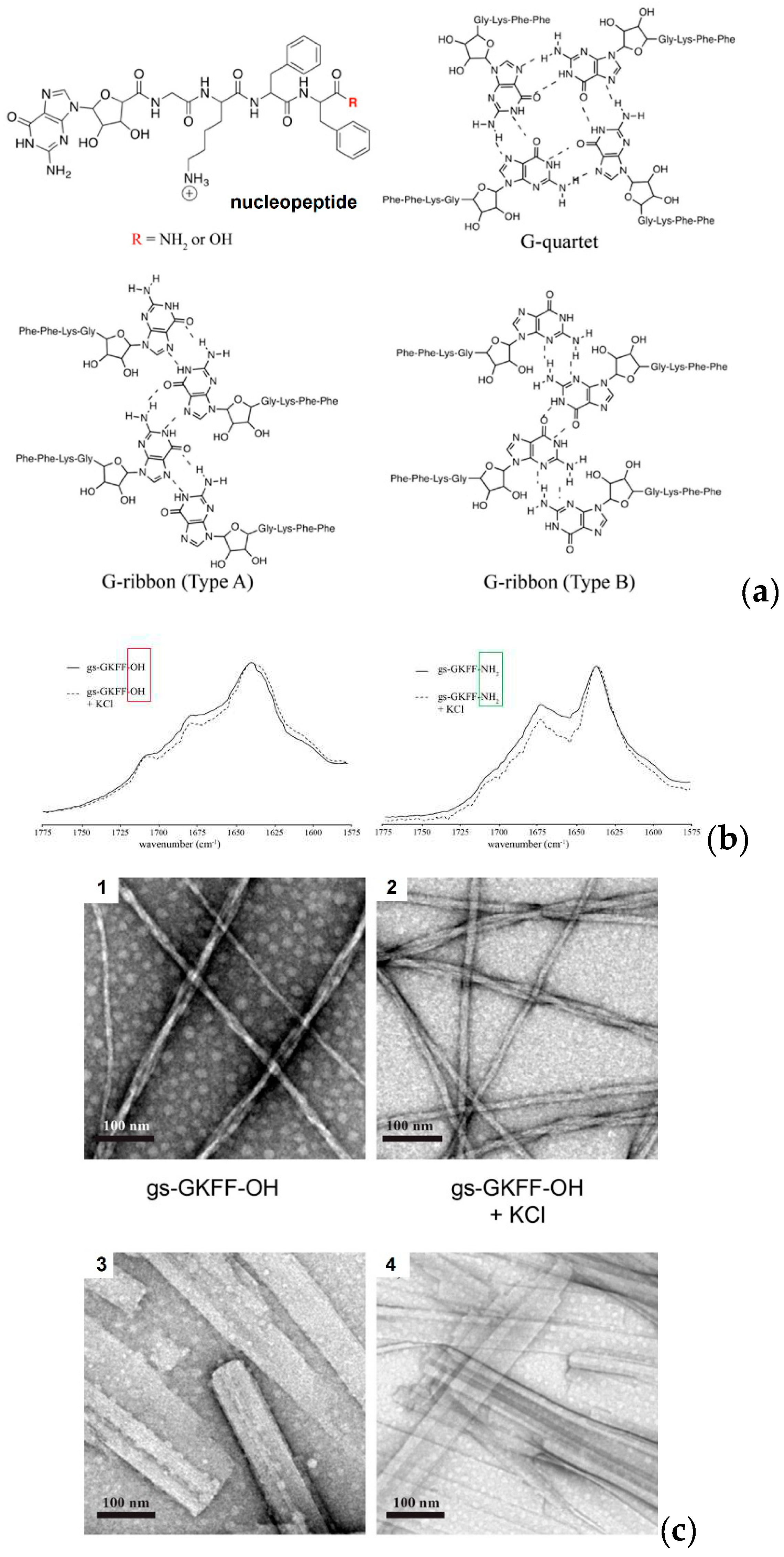 Preprints 93372 g001