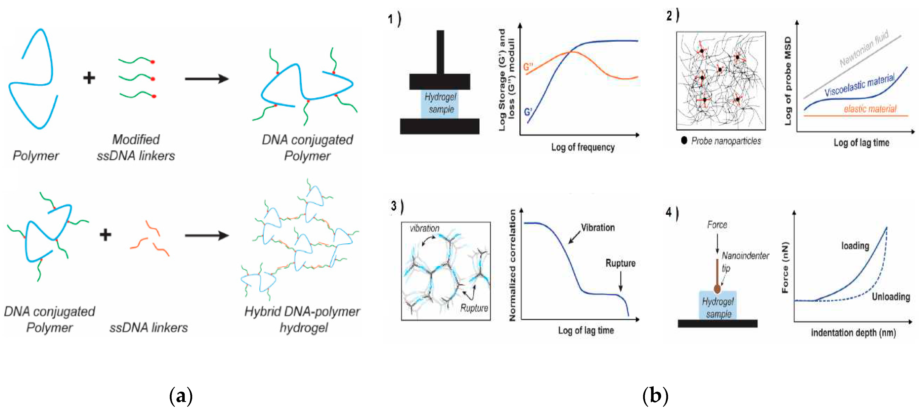 Preprints 93372 g002