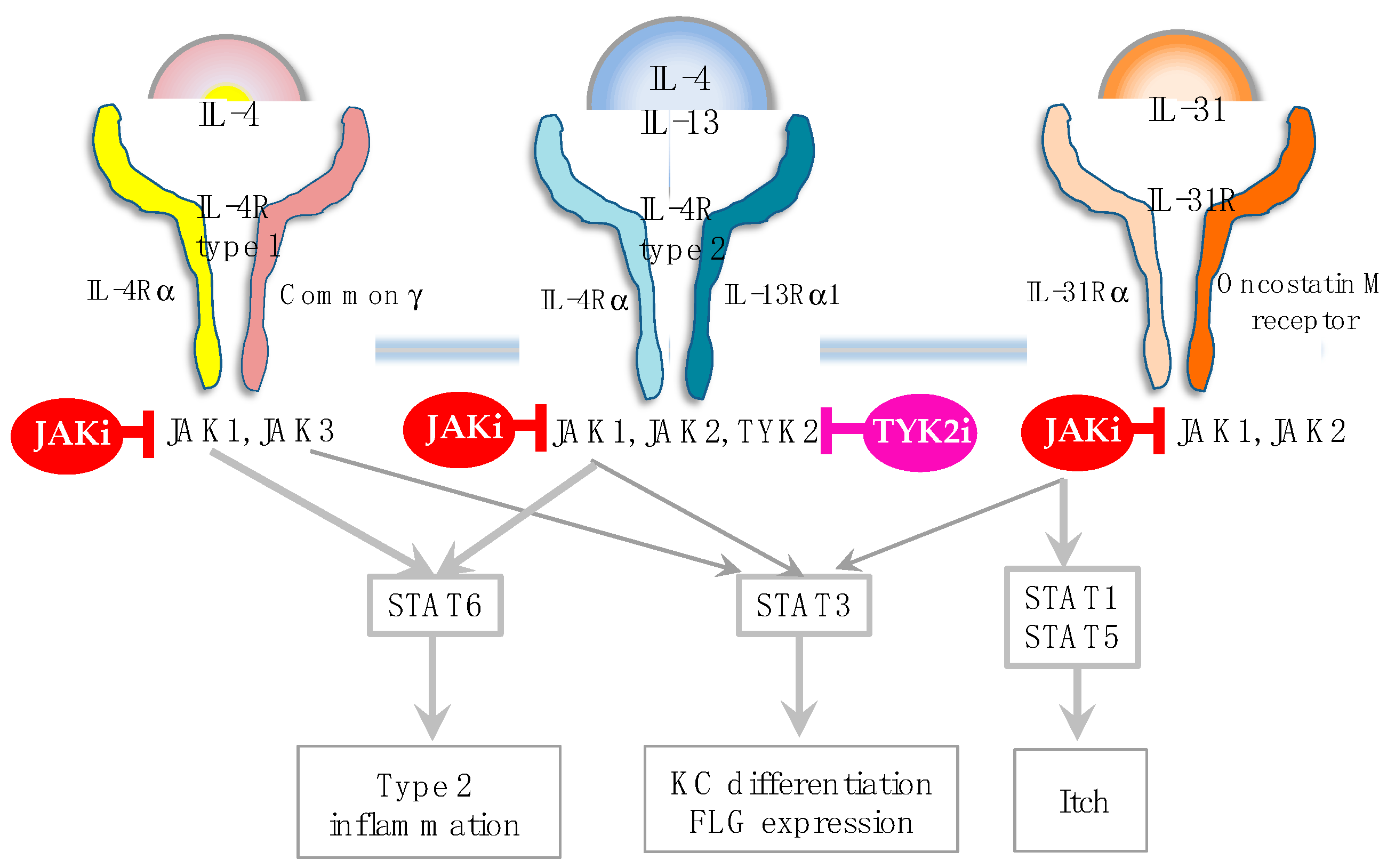 Preprints 90801 g002