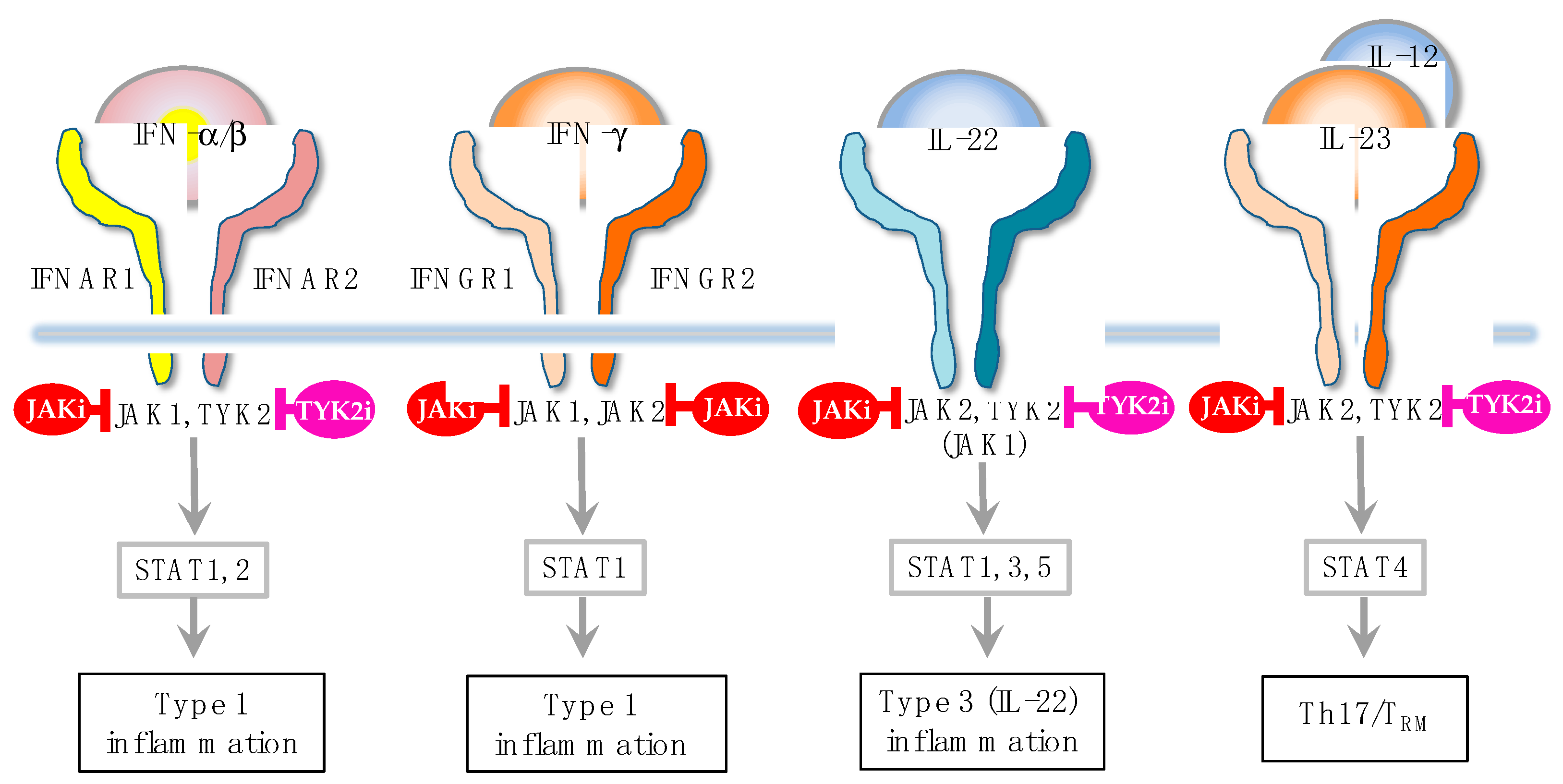 Preprints 90801 g003