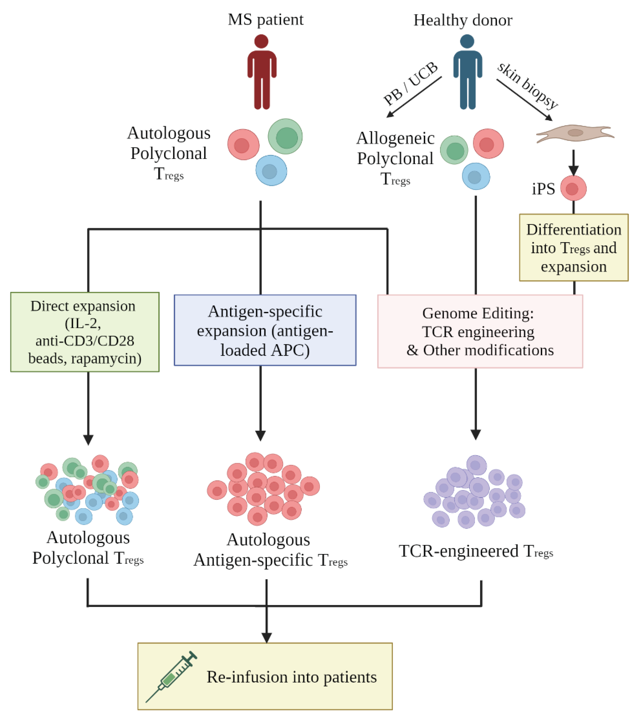 Preprints 103044 g002