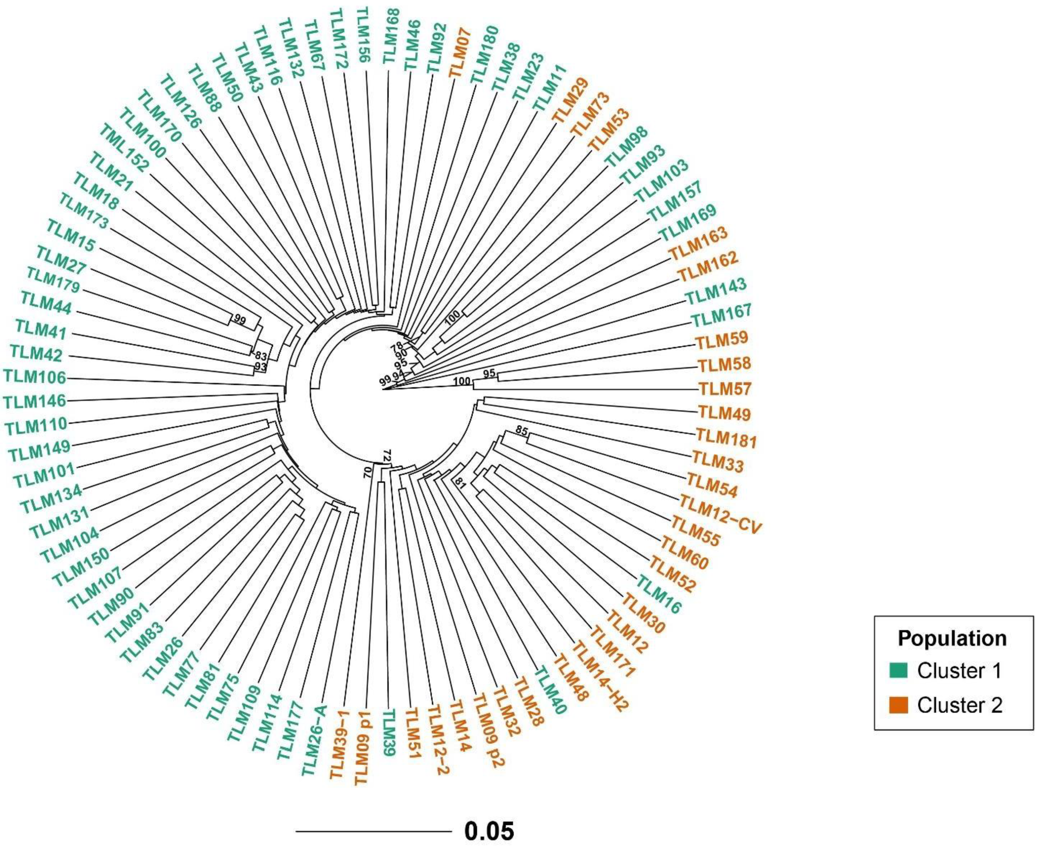 Preprints 67587 g004