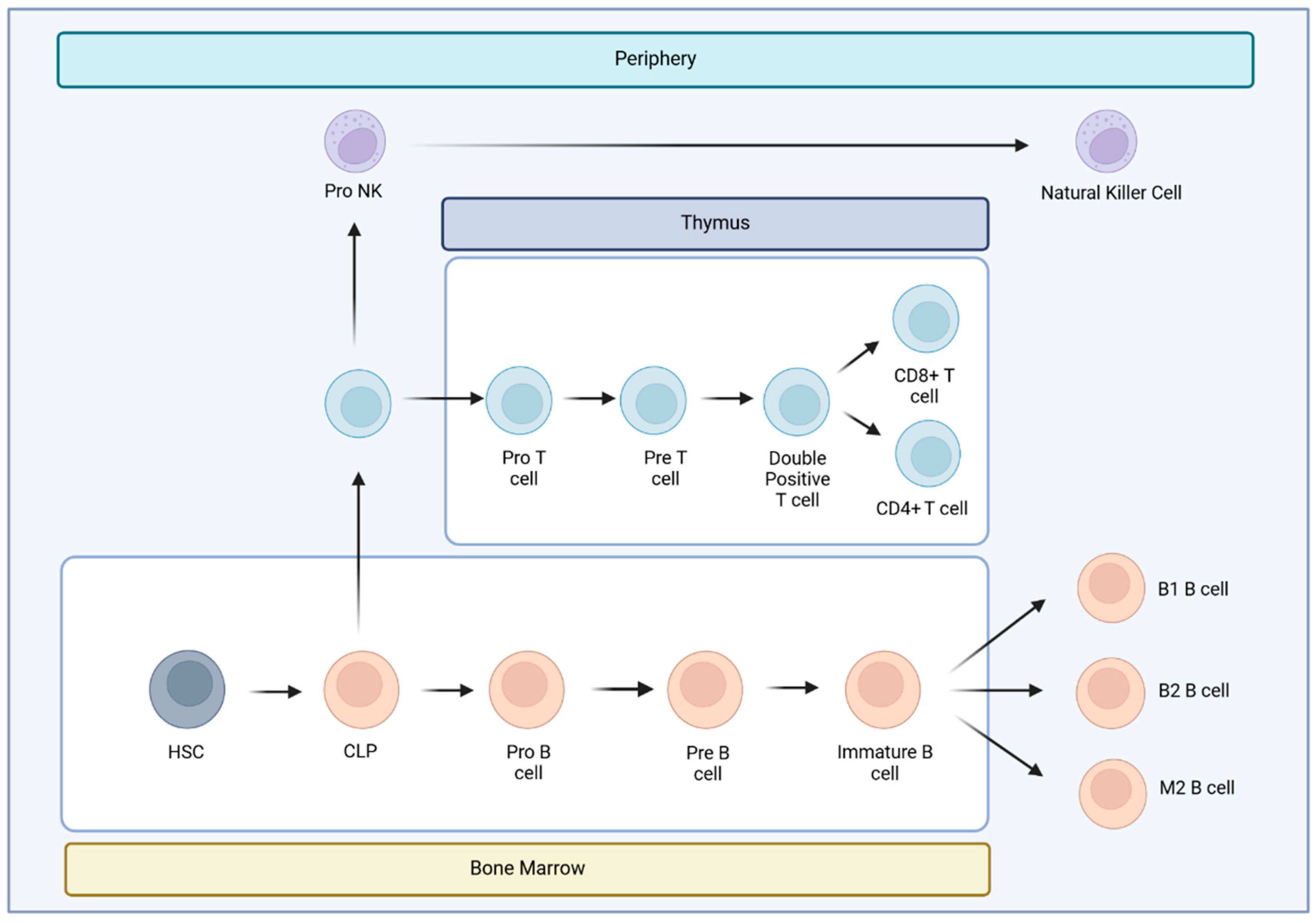 Preprints 112835 g001