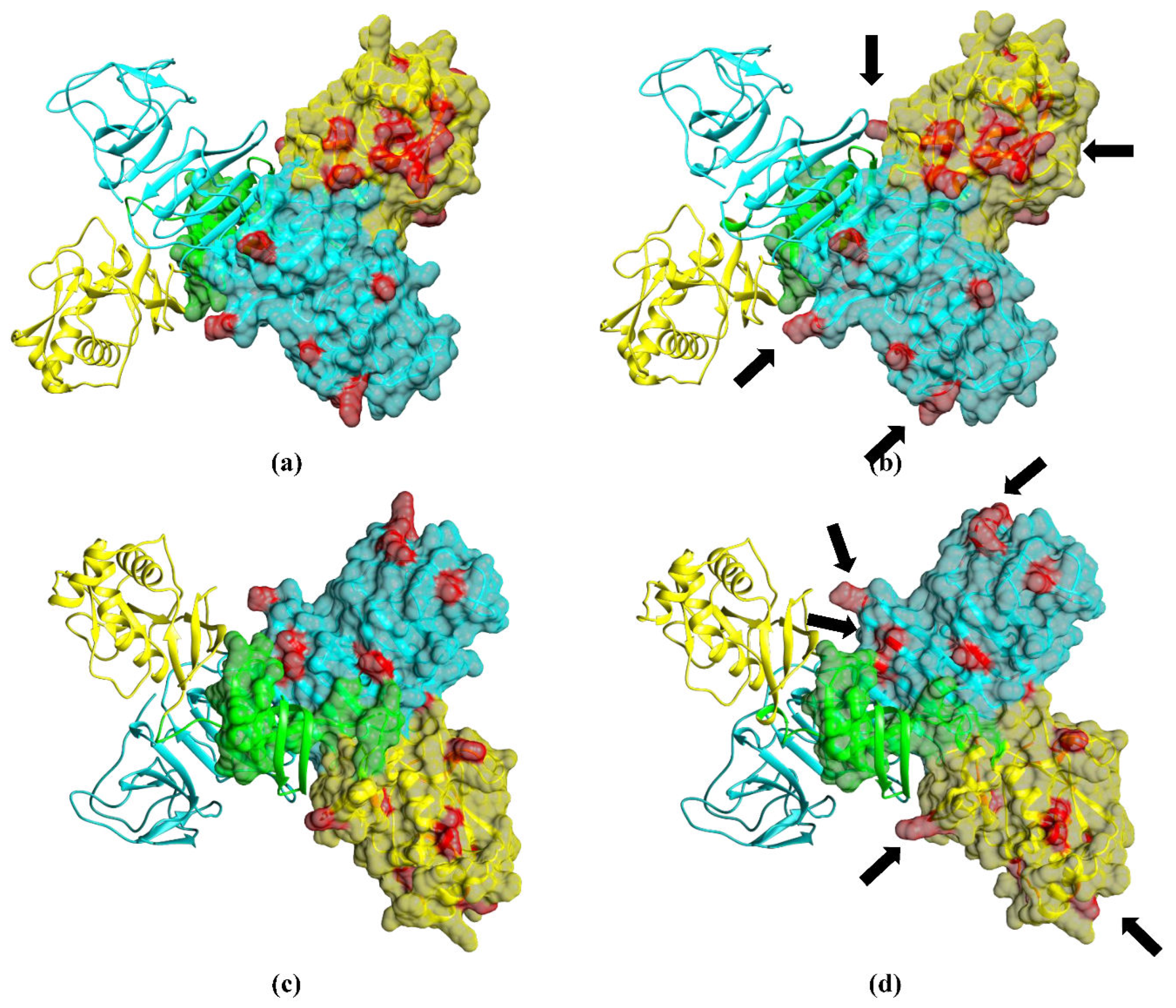 Preprints 105964 g003