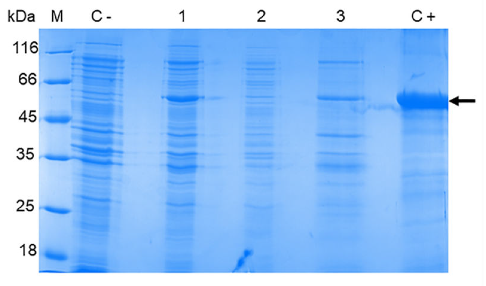 Preprints 105964 g004