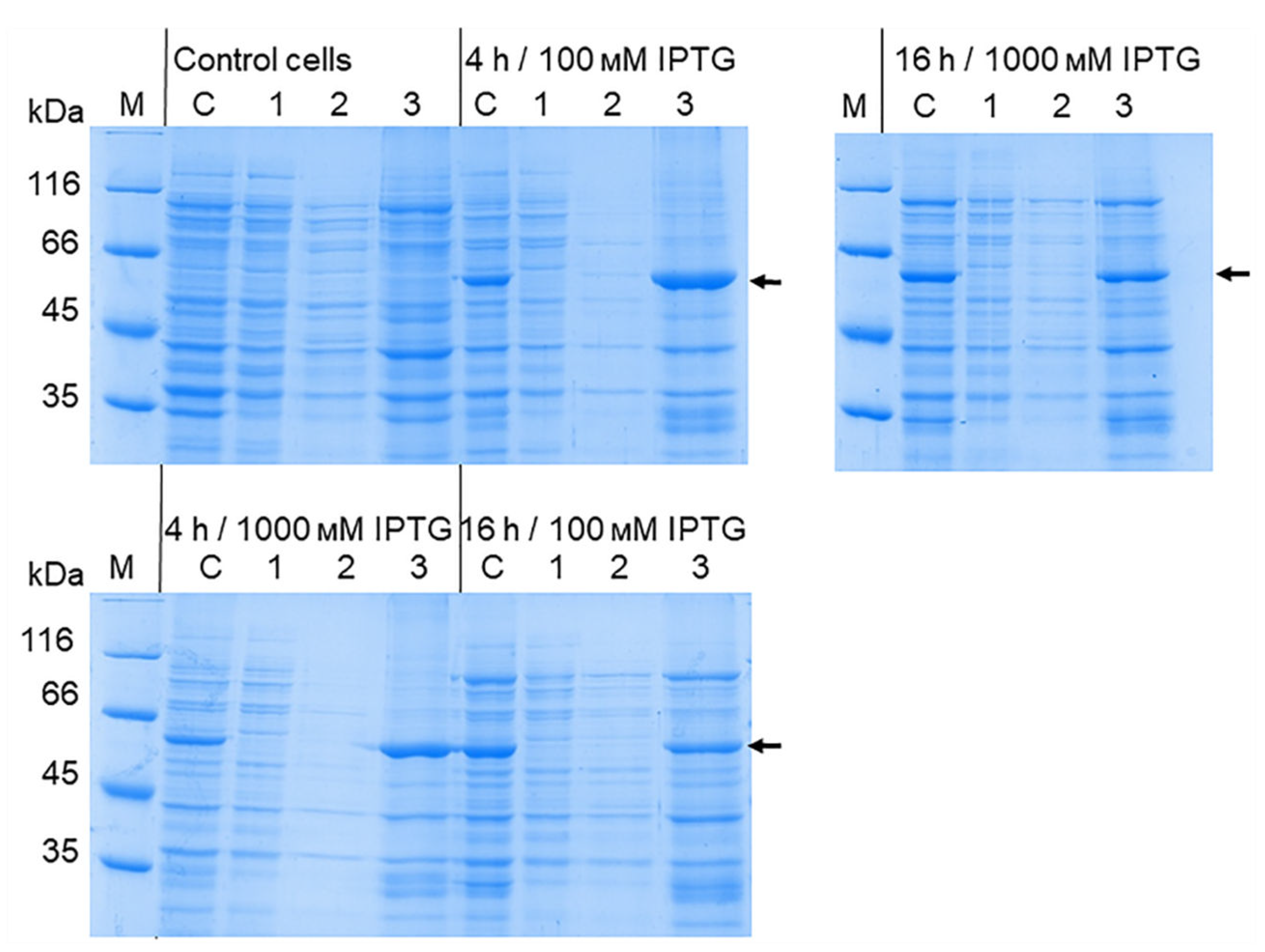 Preprints 105964 g005