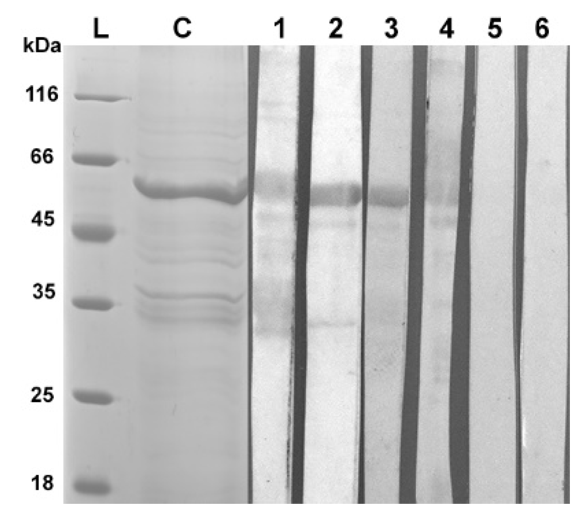 Preprints 105964 g007