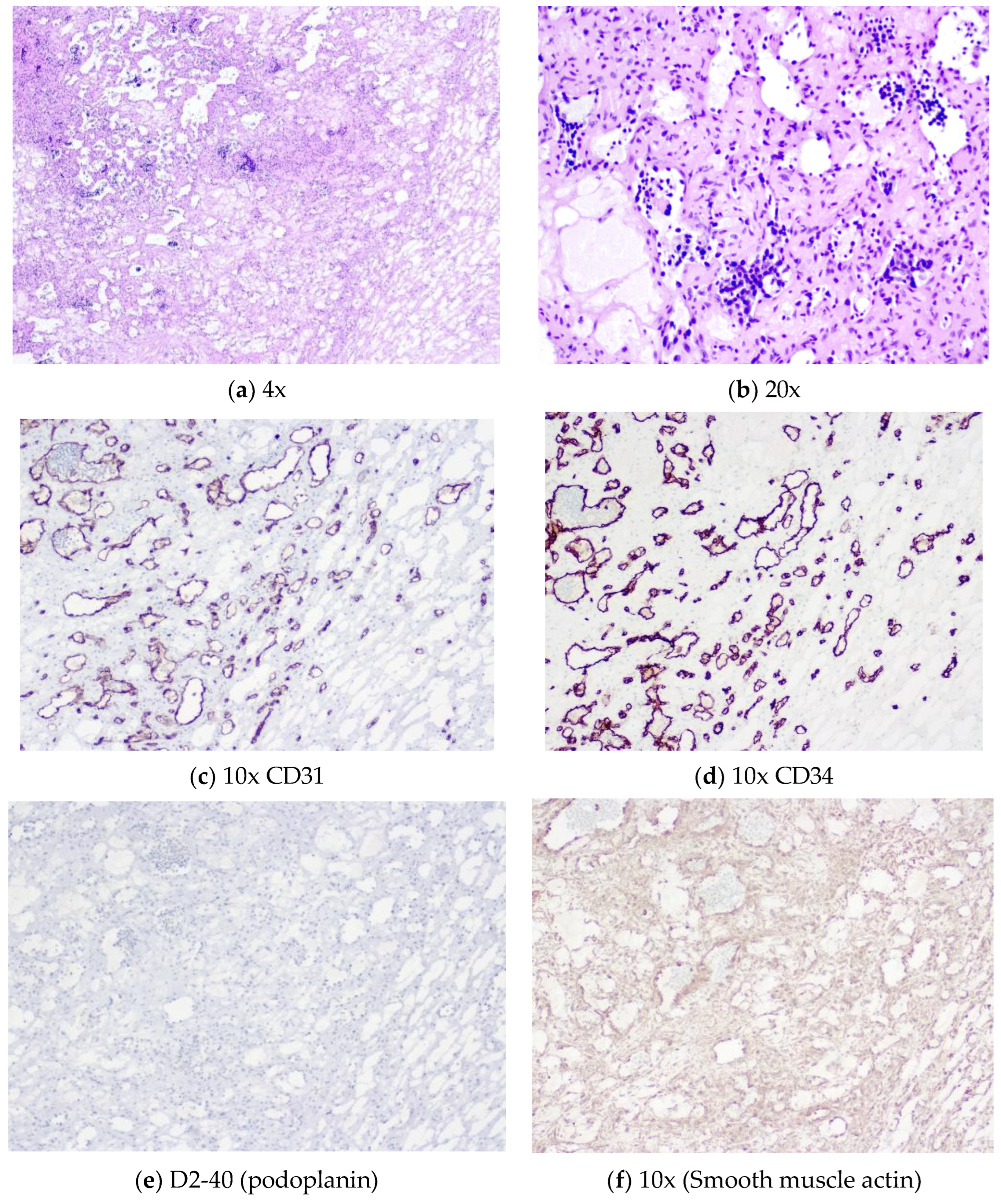 Preprints 100634 g006