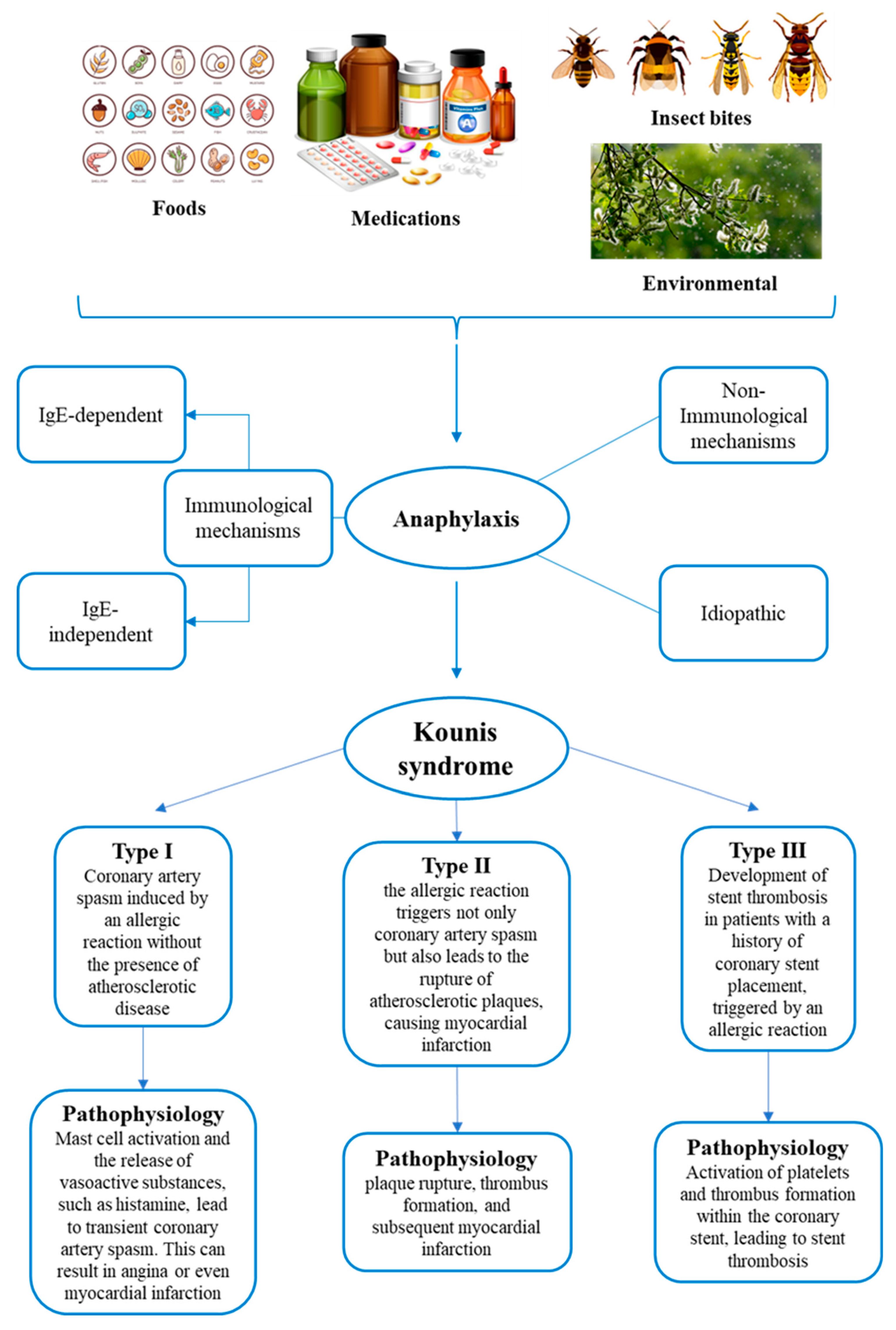 Preprints 91922 g001