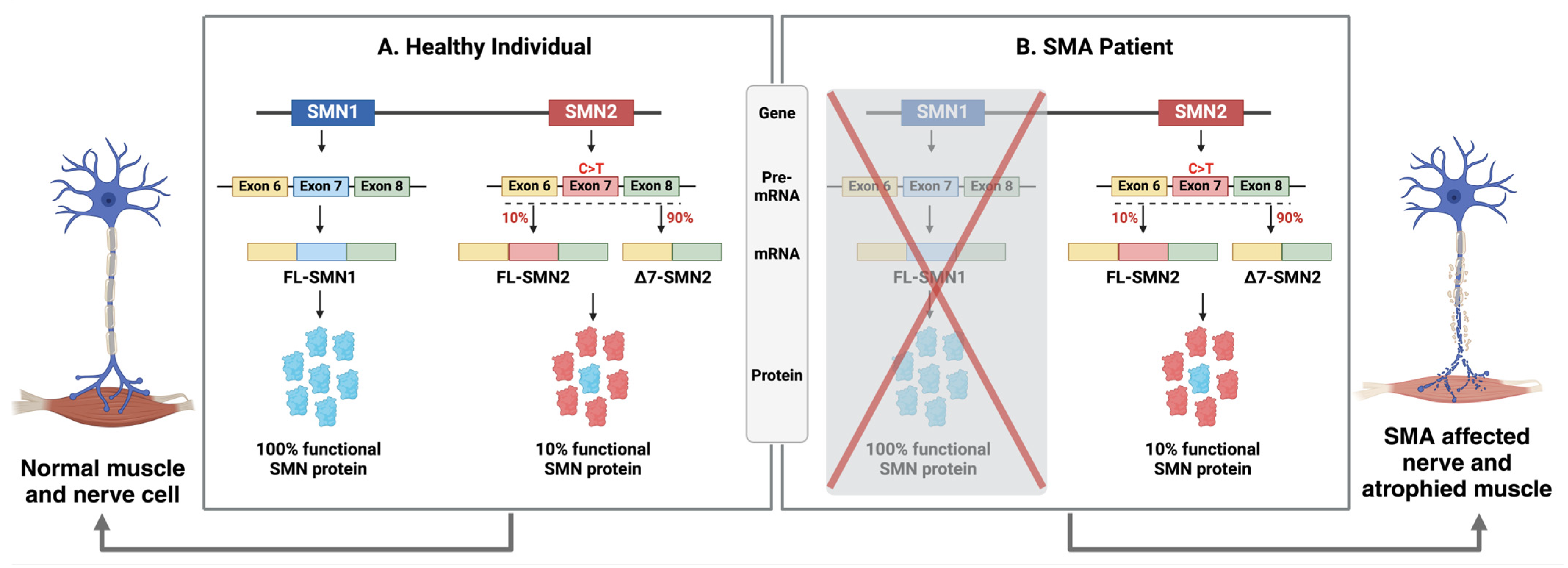 Preprints 110650 g001