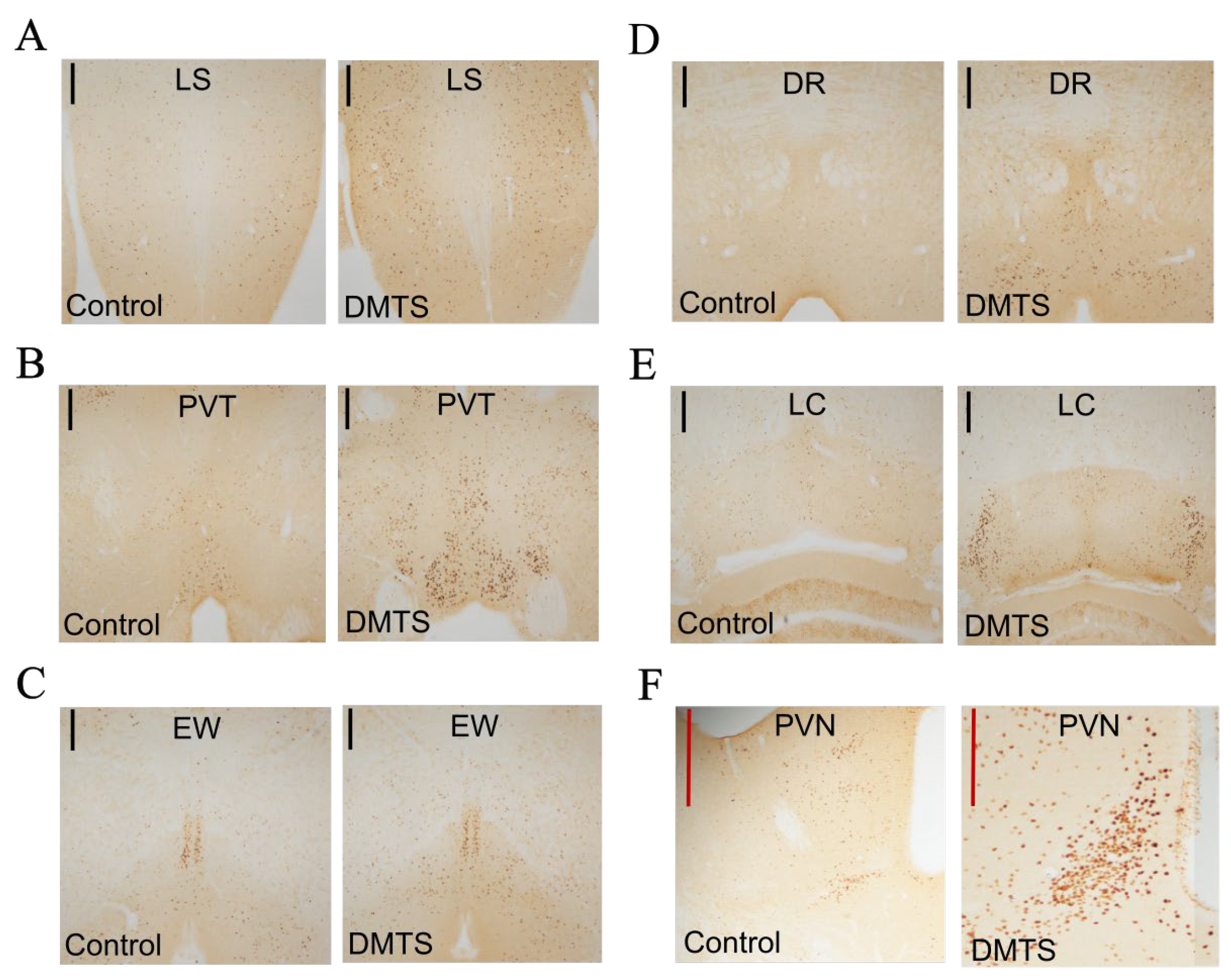 Preprints 108524 g008