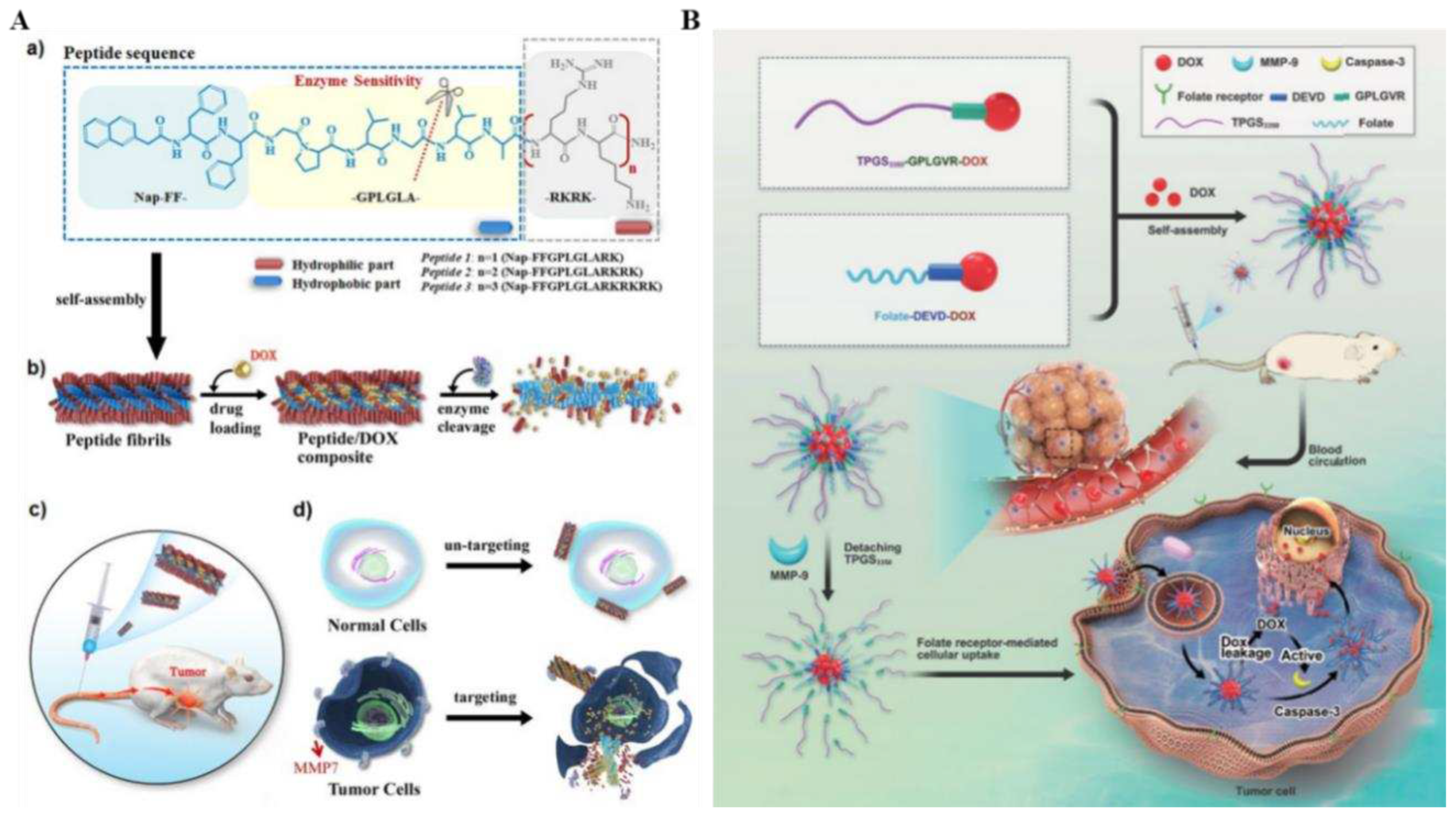 Preprints 97793 g004